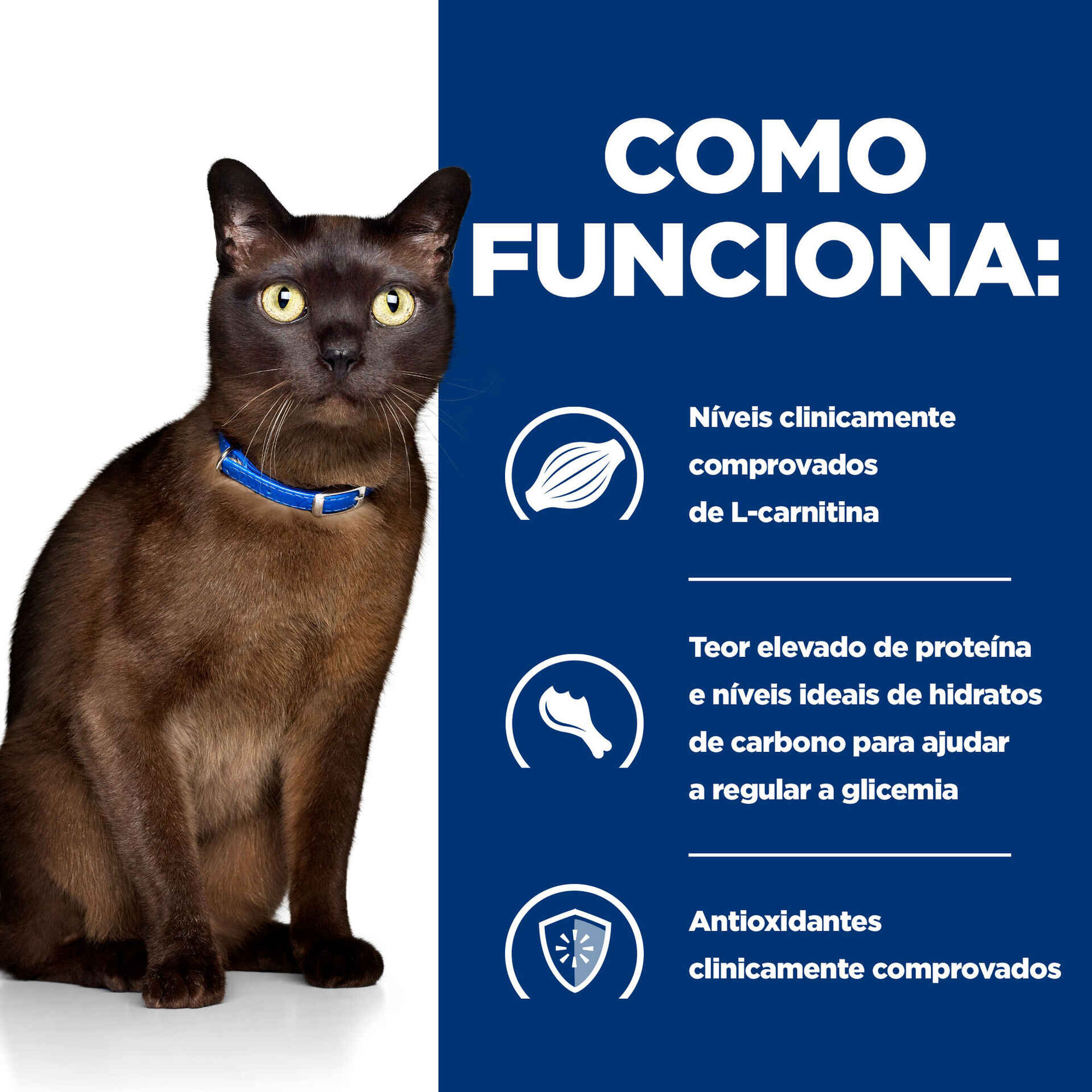 Comida Húmida para Gato Prescription Diet Diabetes Care