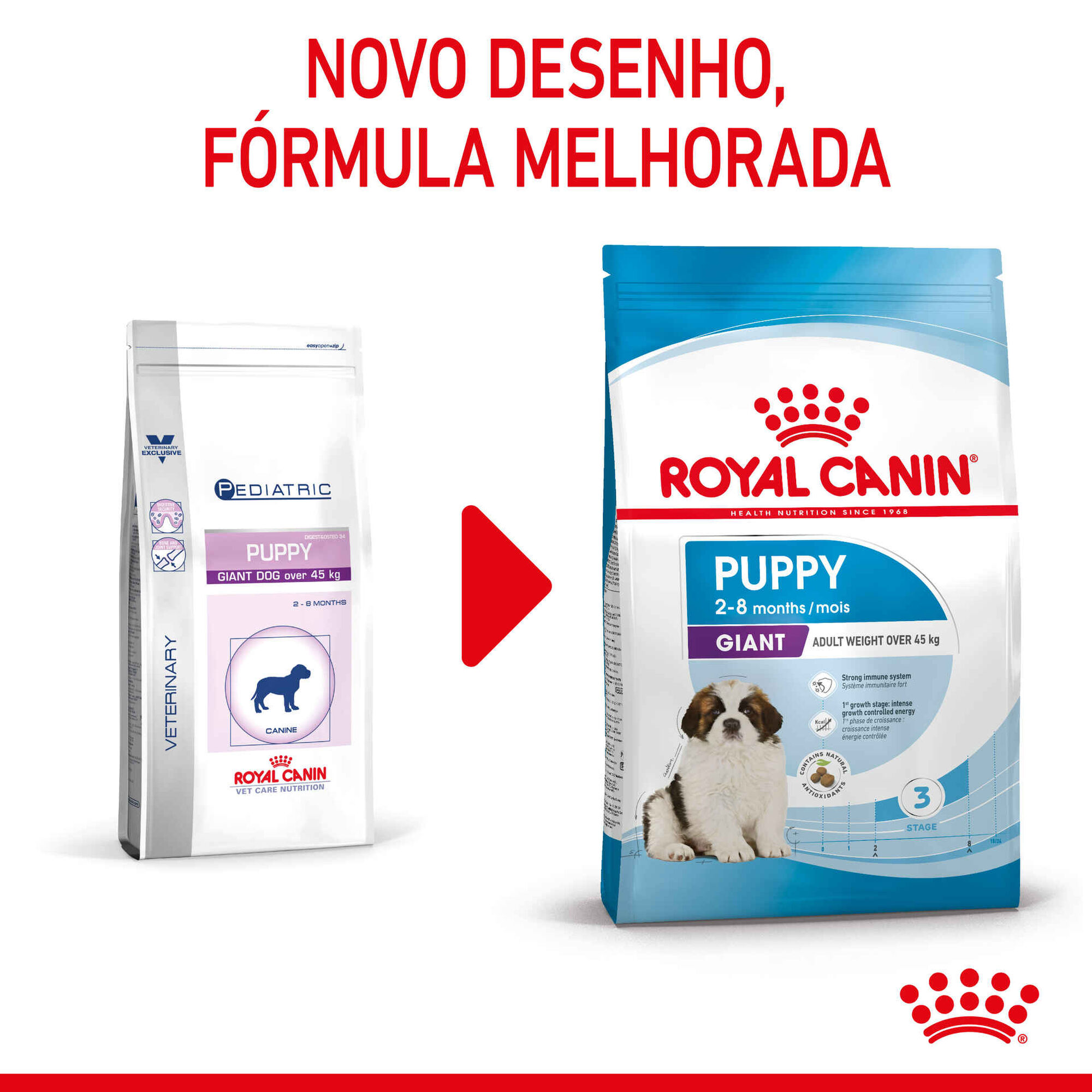 Ração para Cão Júnior Giant Ração para Cão Júnior Giant