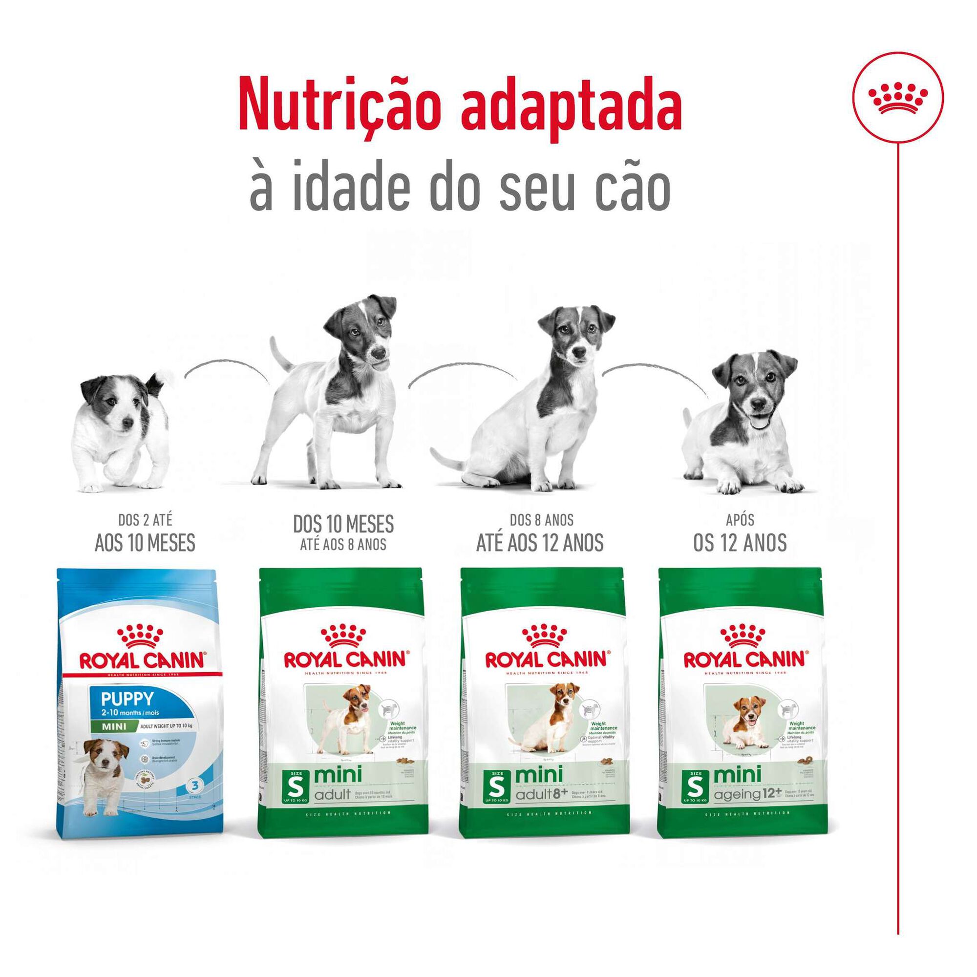 Ração para Cão Sénior Mini Ageing 12+ Ração para Cão Sénior Mini Ageing 12+