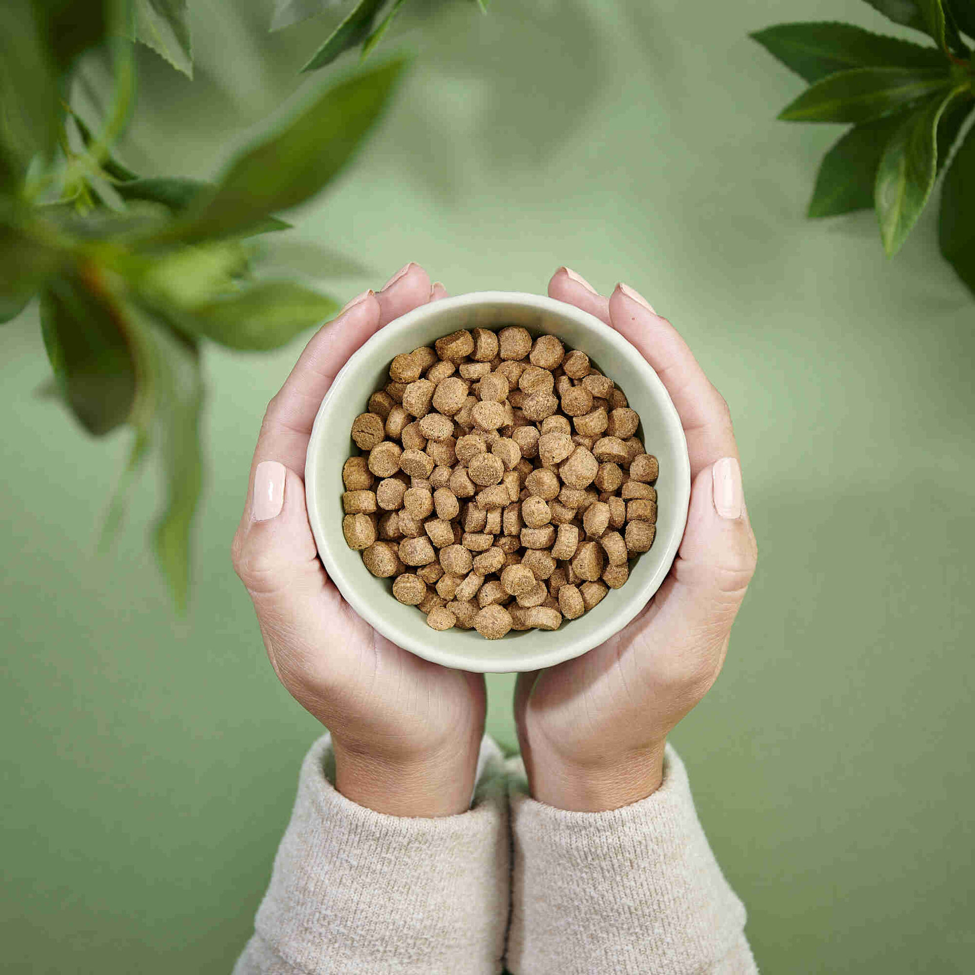 Ra&ccedil;&atilde;o para Gato Adulto Esterilizado Frango Purenatural