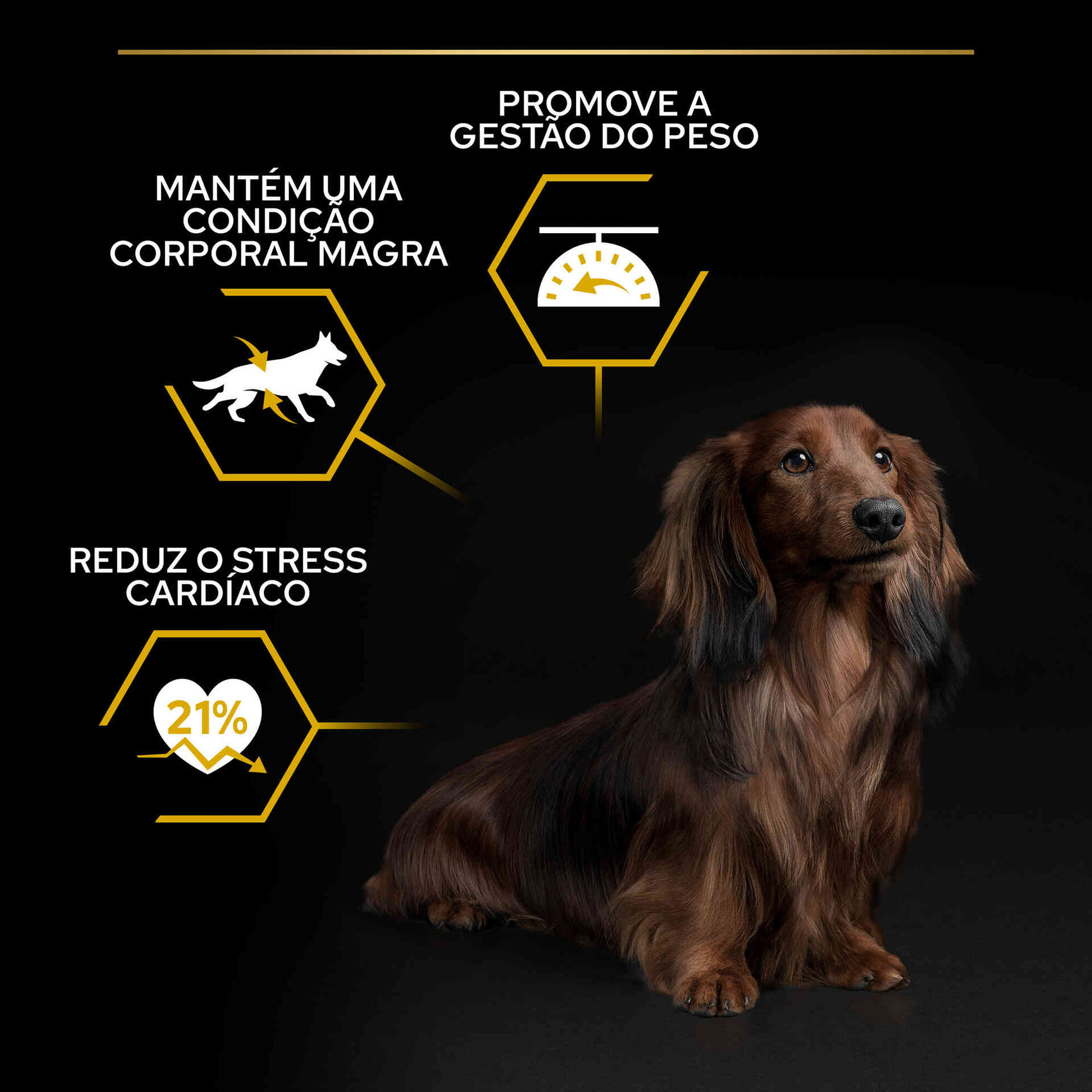 Ração para Cão Adulto Mini Esterilizado Light Frango