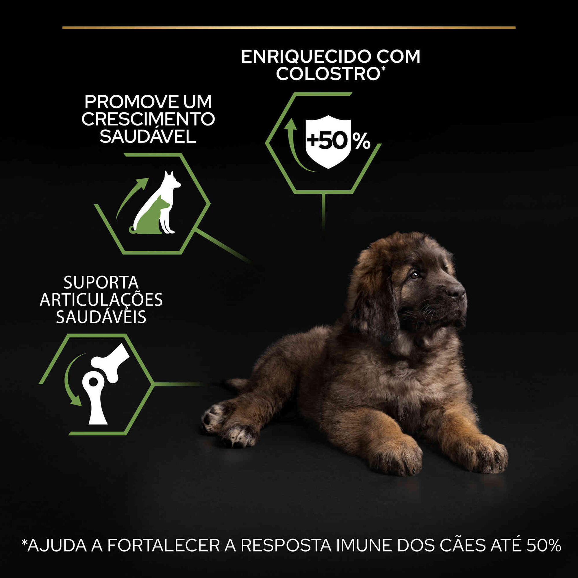 Ração para Cão Júnior Maxi Robust Healthy Start Frango Ração para Cão Júnior Maxi Robust Healthy Start Frango