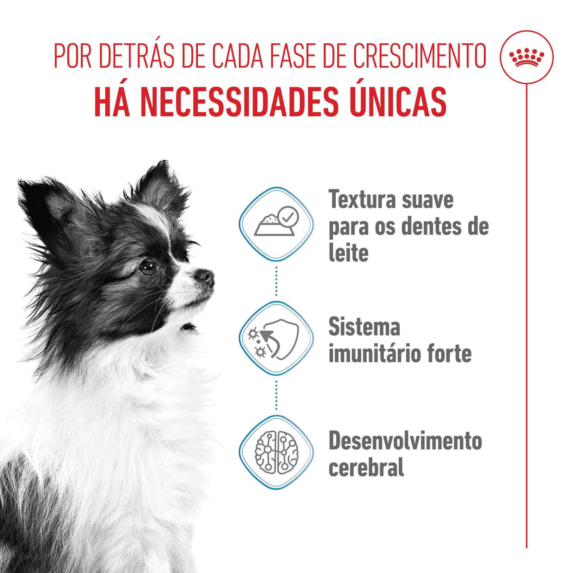Pack Comida Húmida para Cão Júnior X-Small