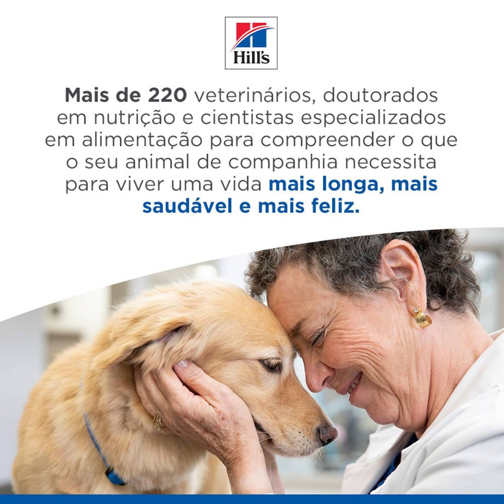 Ração para Cão Adulto Science Plan Hypoallergenic Salmão