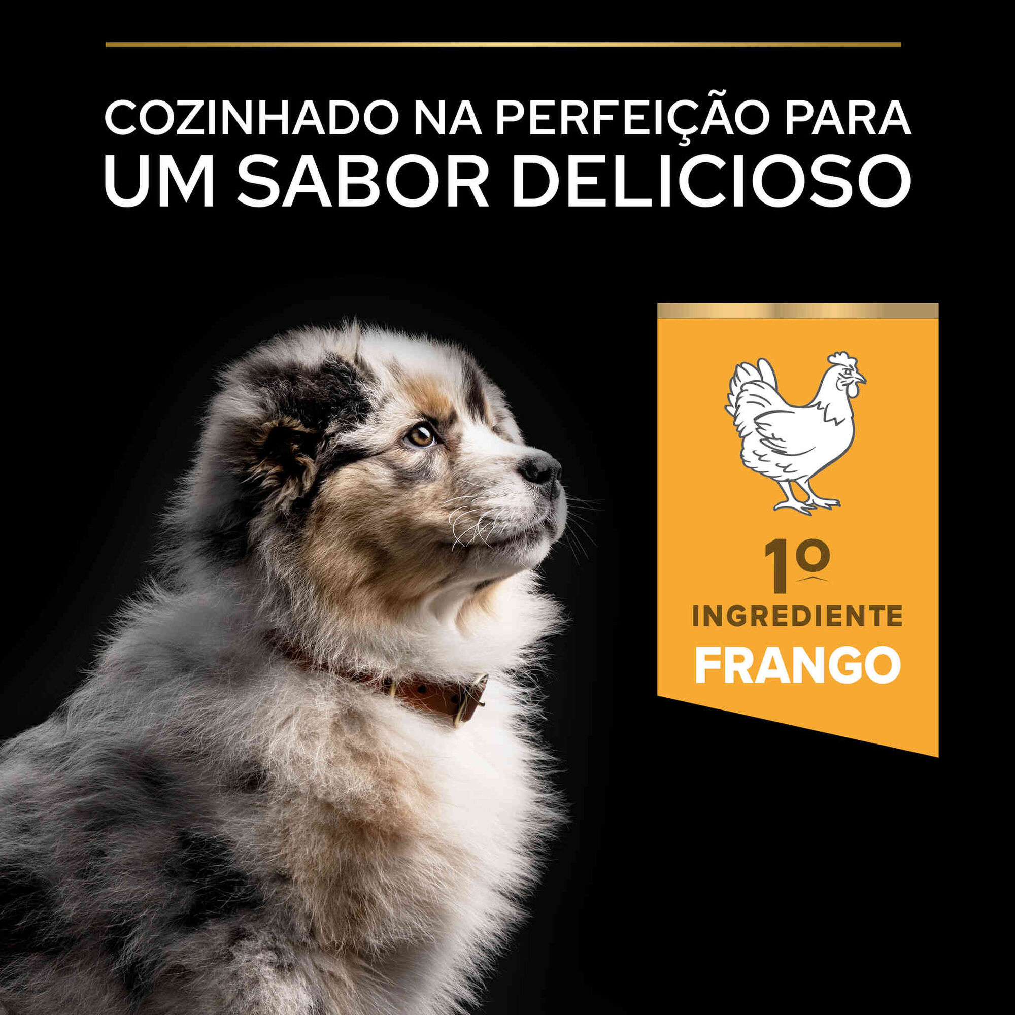 Ração para Cão Júnior Médio Healthy Start