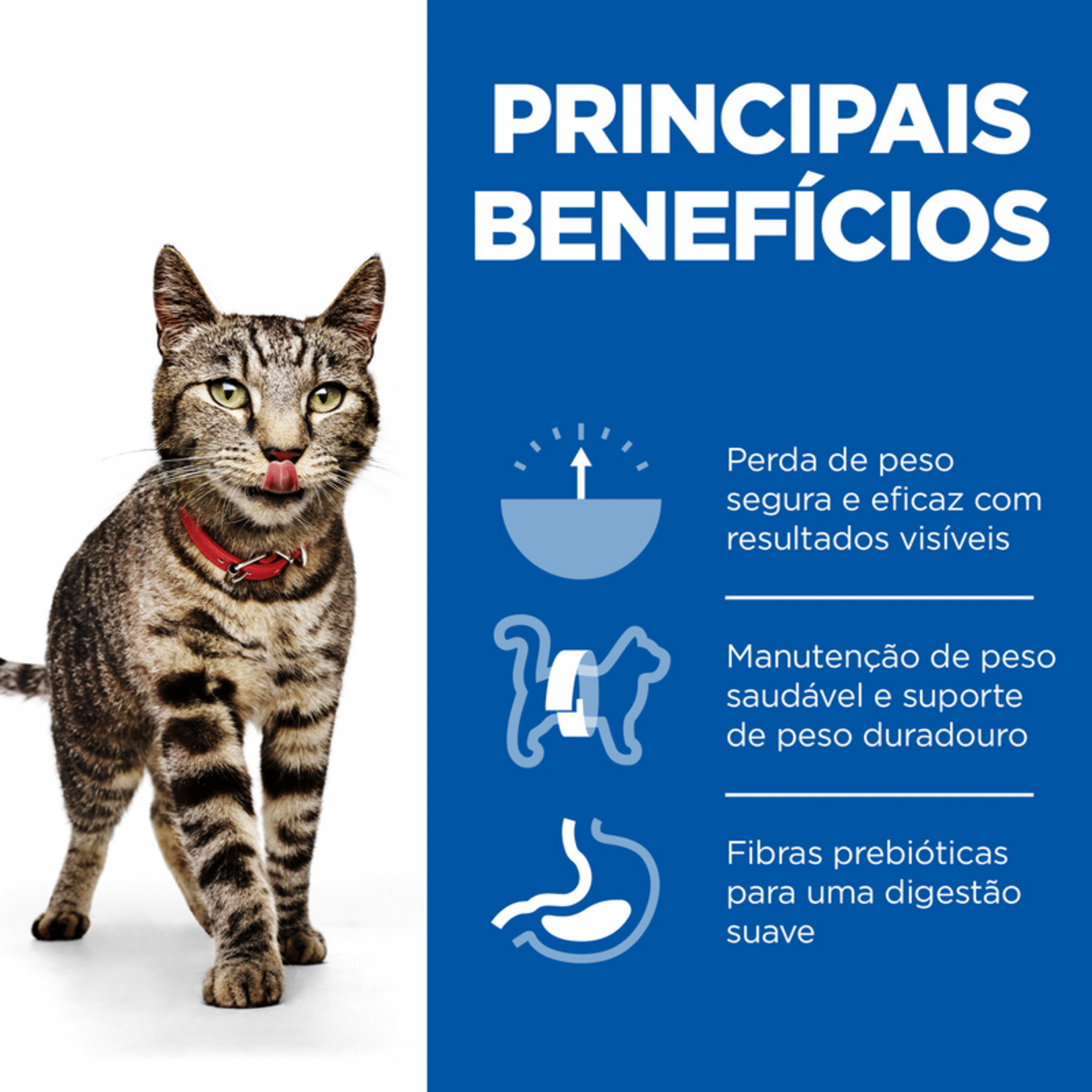 Ração para Gato Adulto Science Plan Perfect Weight Frango