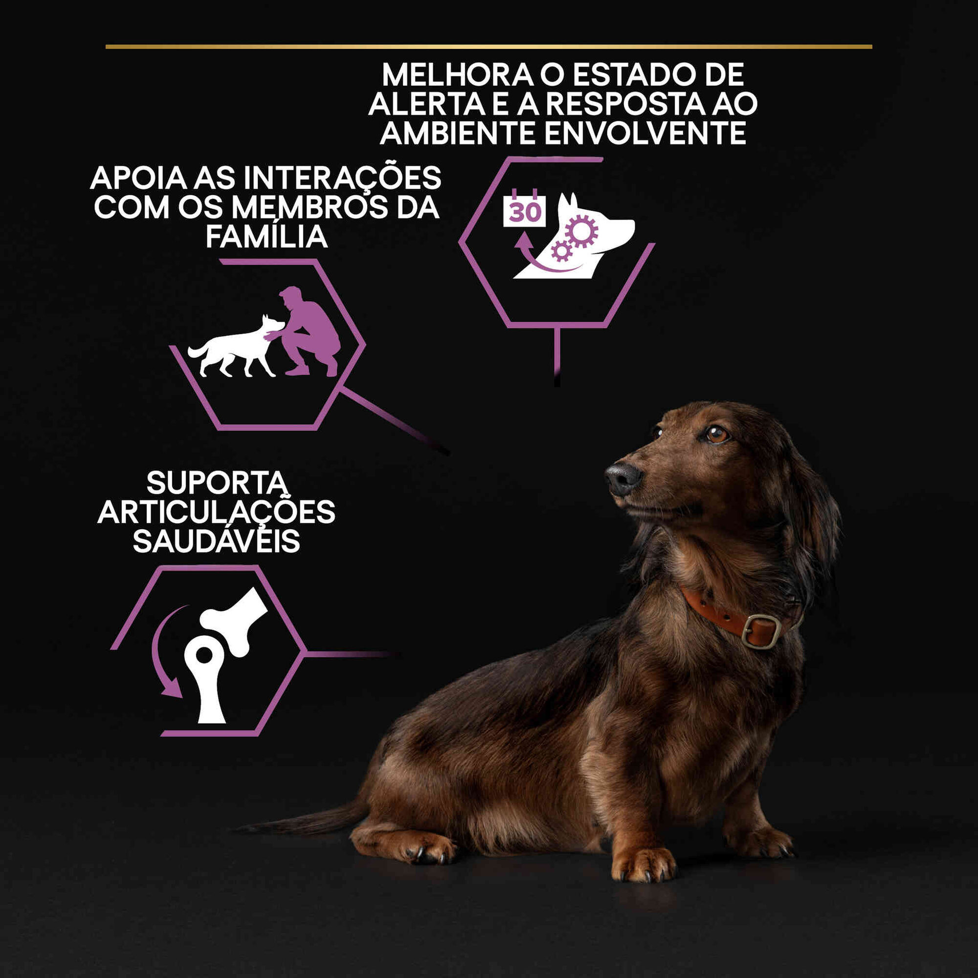 Ração para Cão Sénior Mini Age Defence Frango Ração para Cão Sénior Mini Age Defence Frango