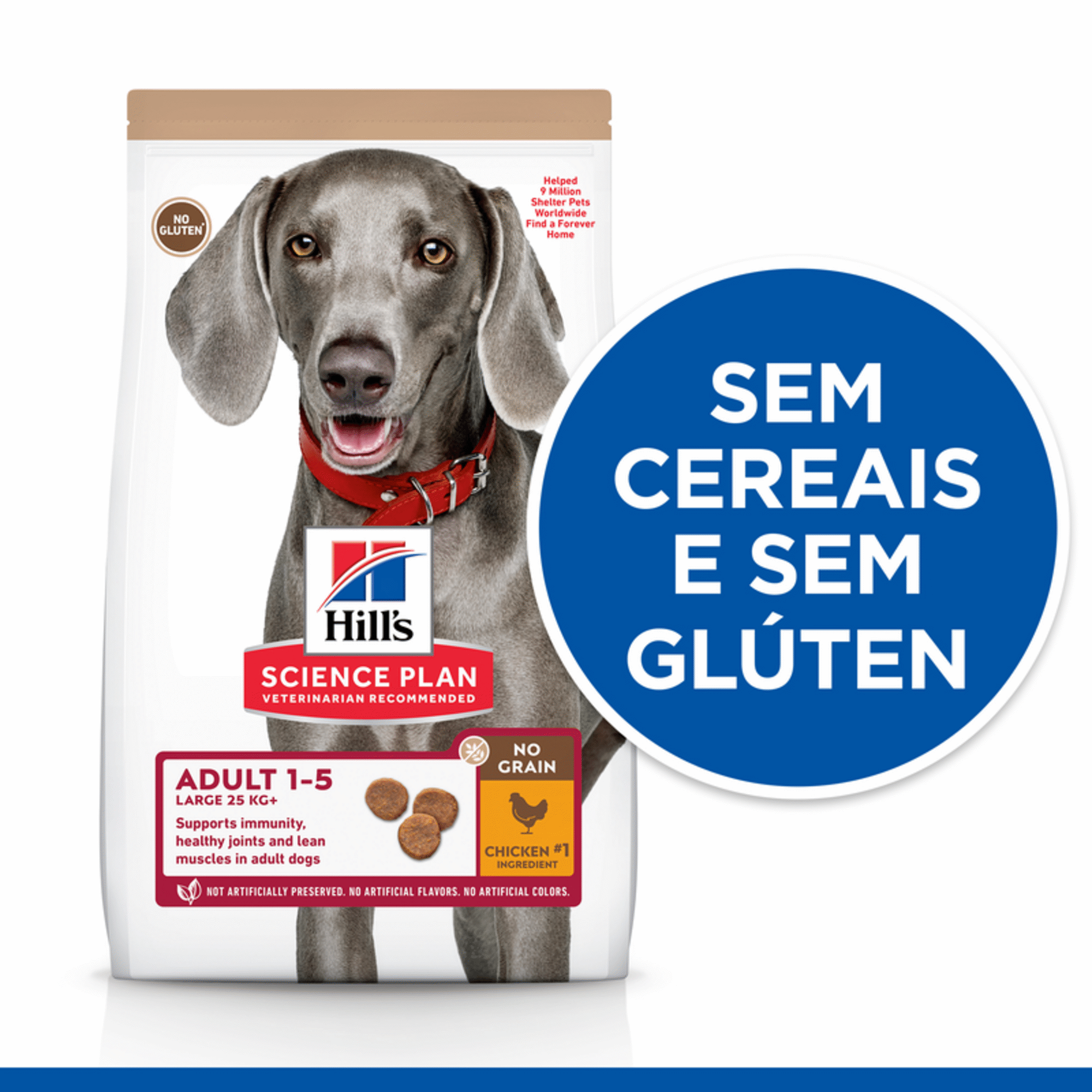 Ra&ccedil;&atilde;o para C&atilde;o Adulto Maxi Science Plan Grain Free Frango
