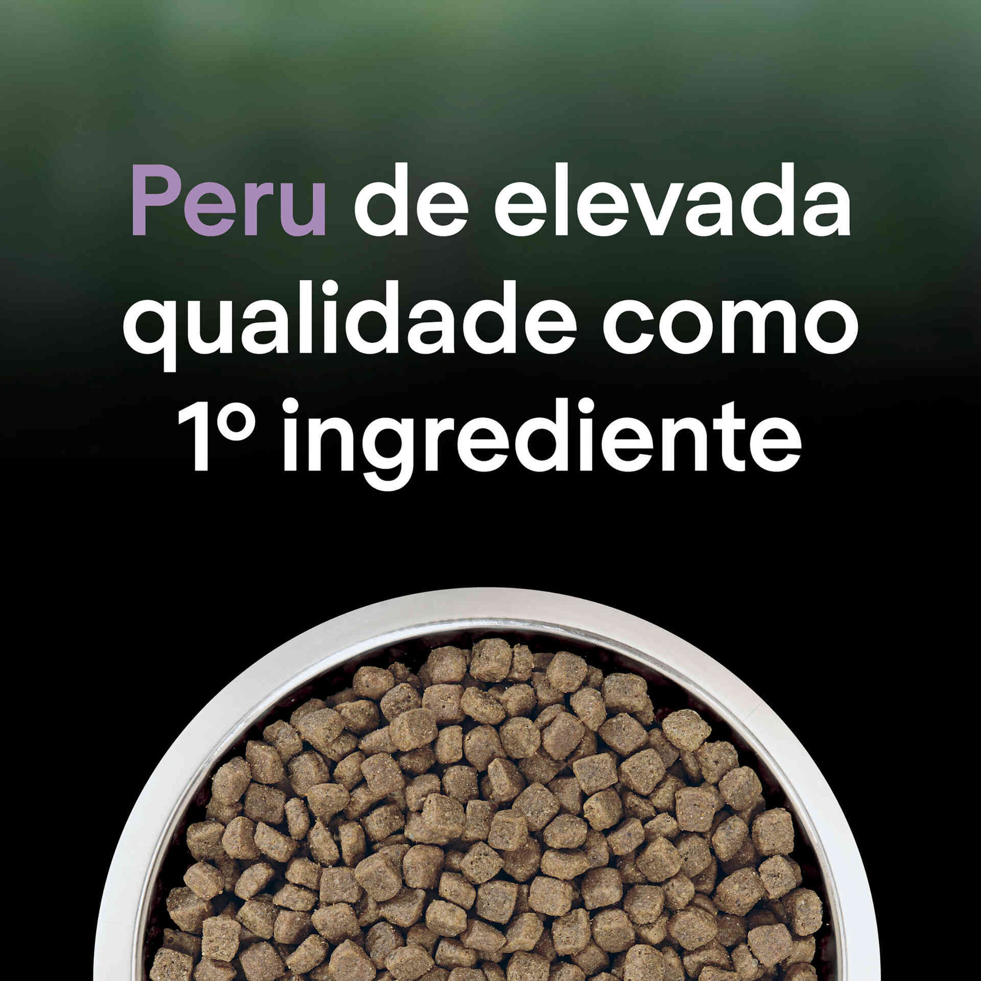 Ração para Gato Sénior Esterilizado Live Clear Peru