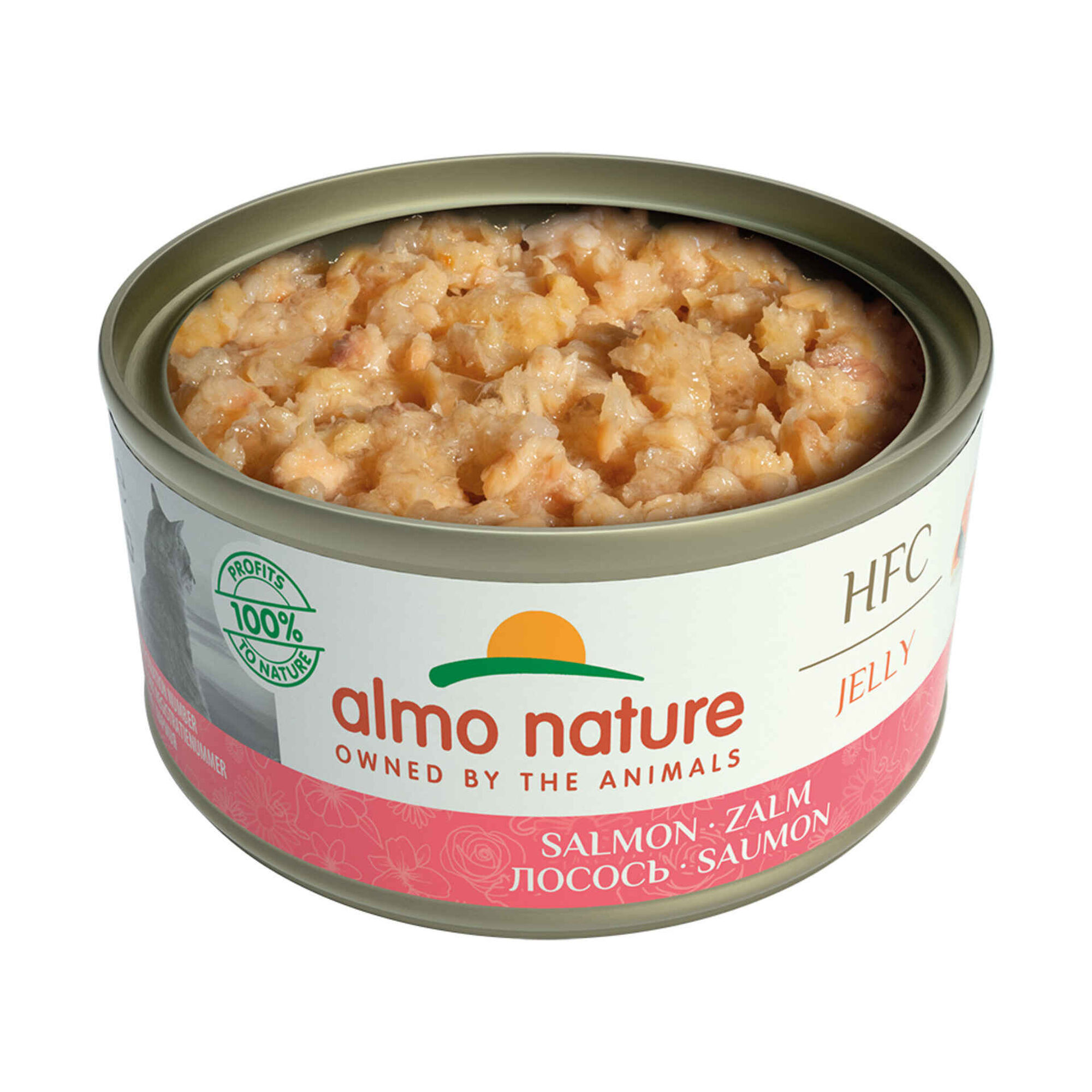 Comida Húmida para Gato Jelly Salmão
