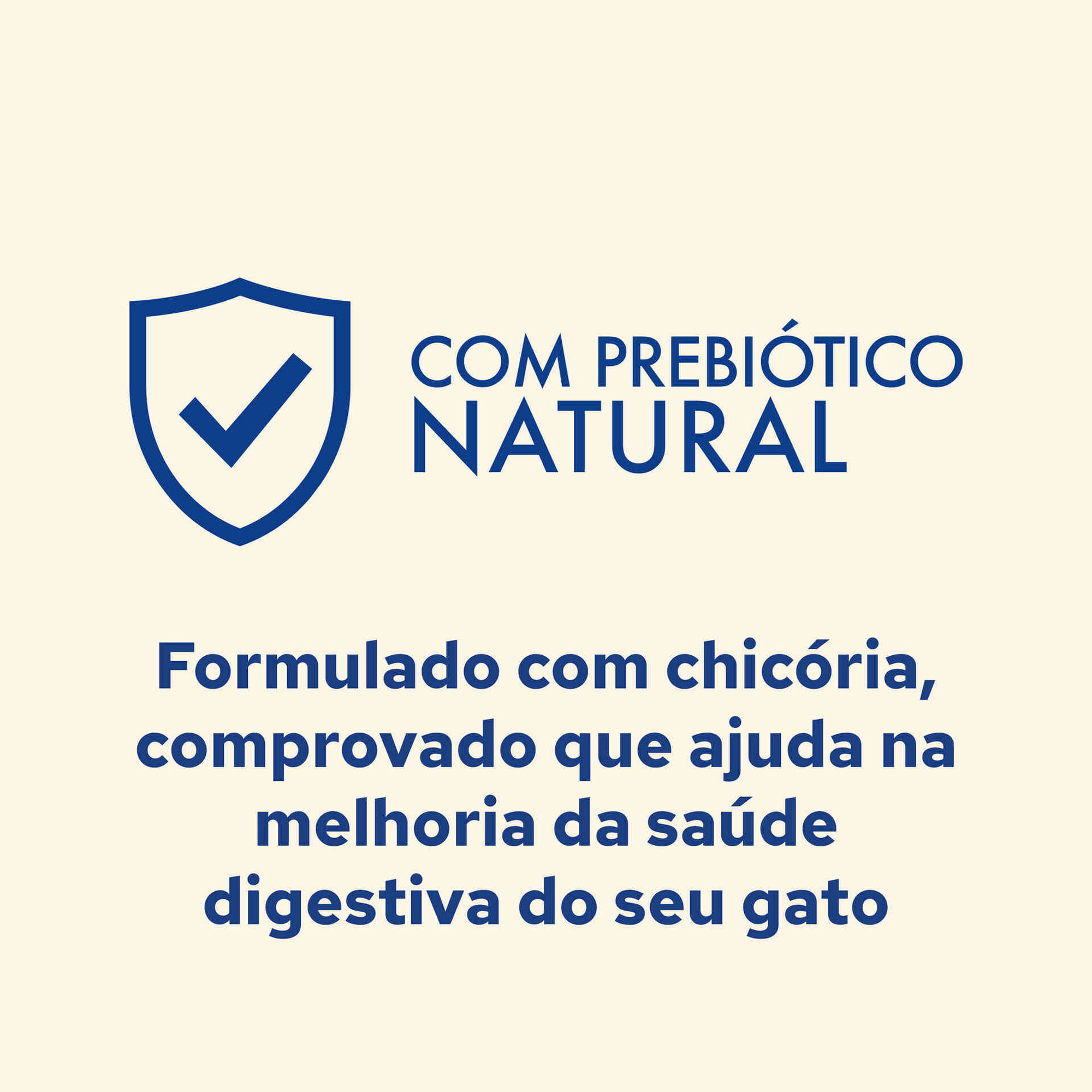 Ração para Gato Adulto Salmão