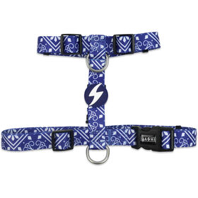 Arn&ecirc;s para C&atilde;o Zillij S