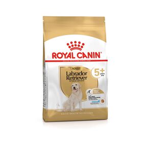 Ração para Cão Adulto Labrador Retriever +5