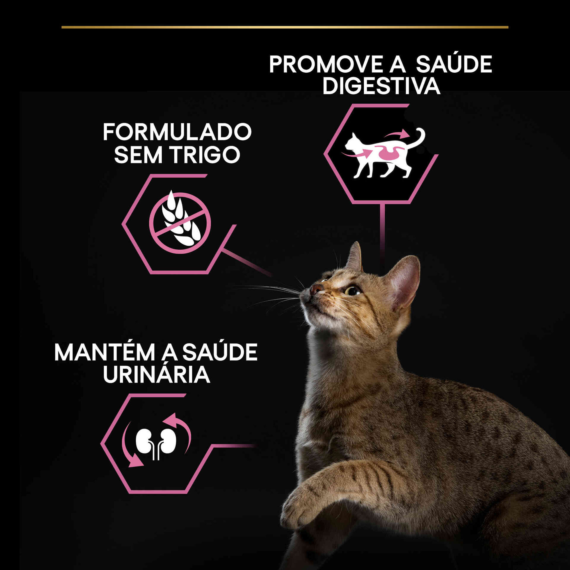Ração para Gato Adulto Esterilizado Delicate Digestion Frango