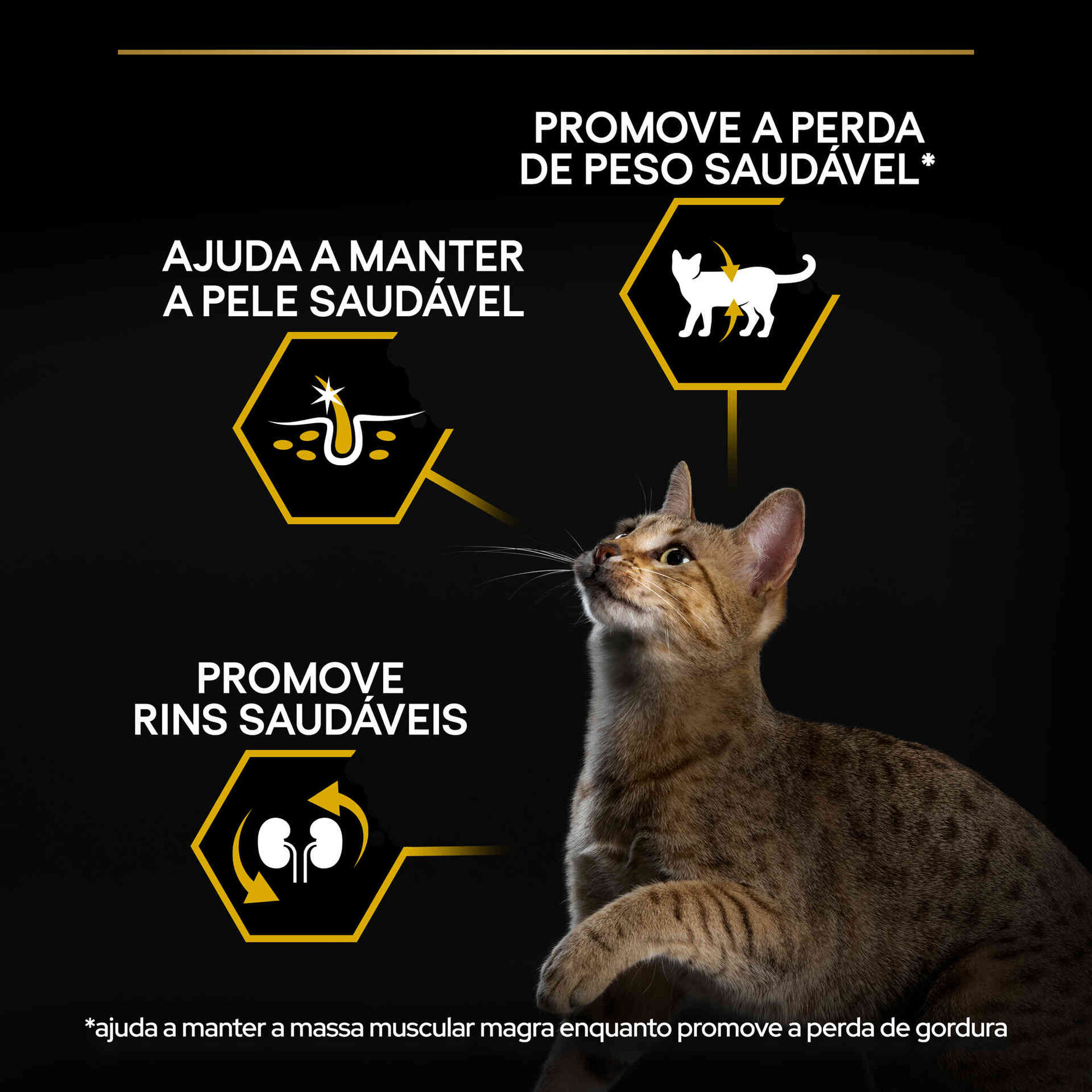 Ração para Gato Adulto Light Peru Ração para Gato Adulto Light Peru