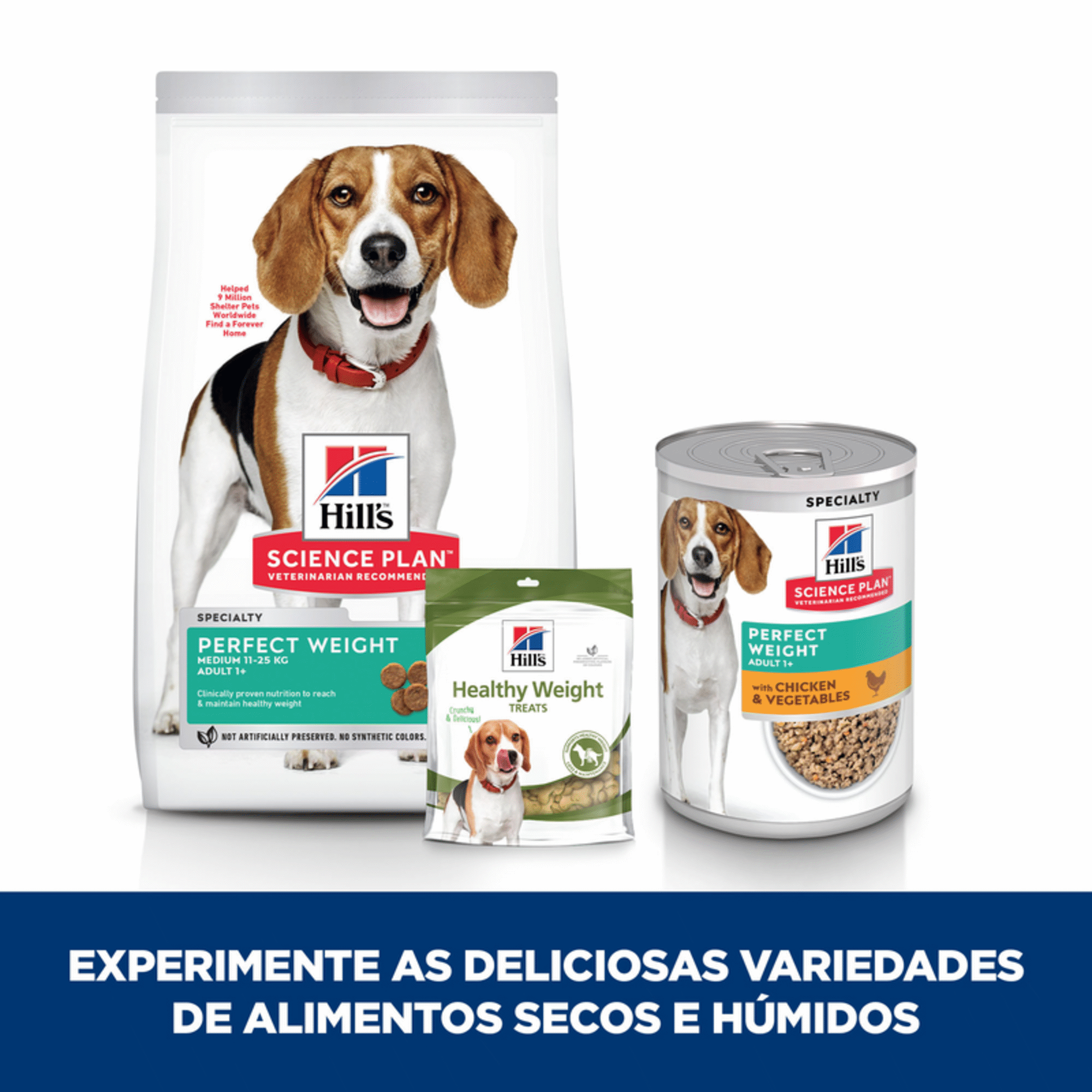 Comida Húmida para Cão Adulto Science Plan Perfect Weight Frango
