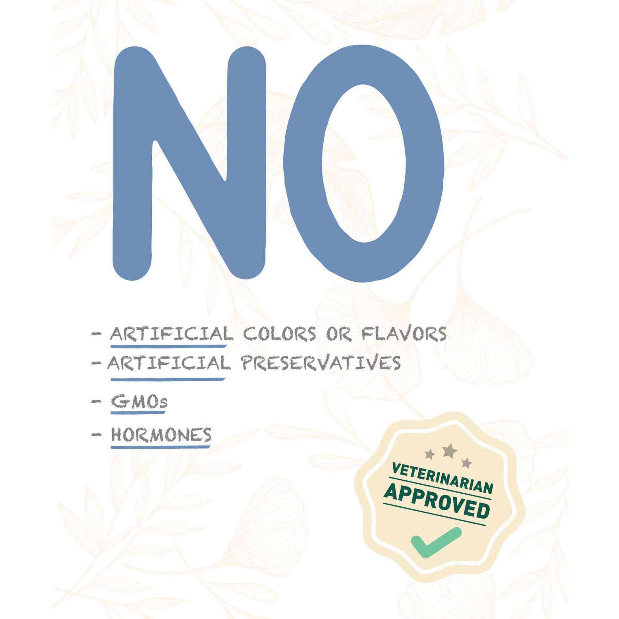 Ração para Cão Adulto Sem Cereais Salmão