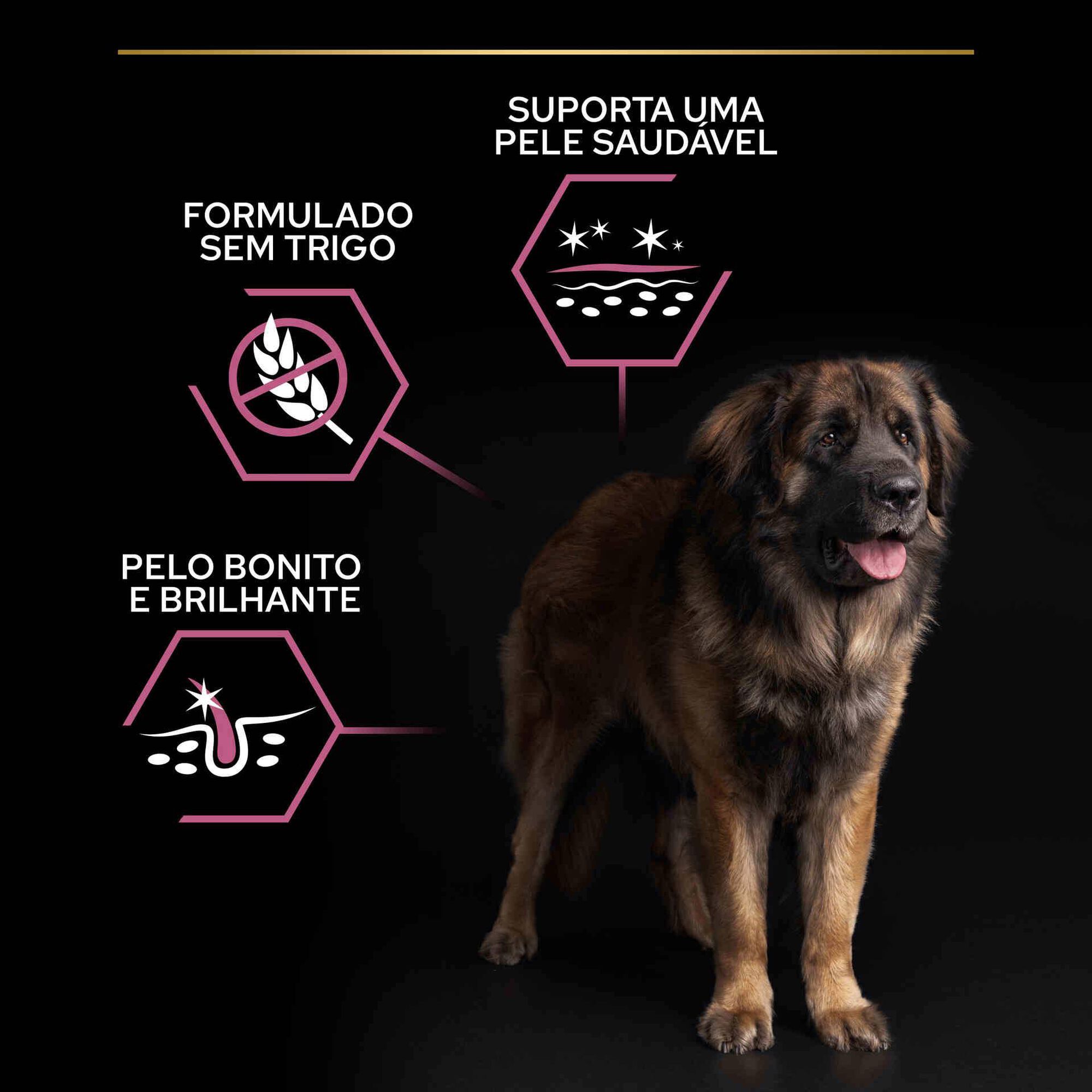 Ração para Cão Maxi Robust Sensitive Skin Salmão