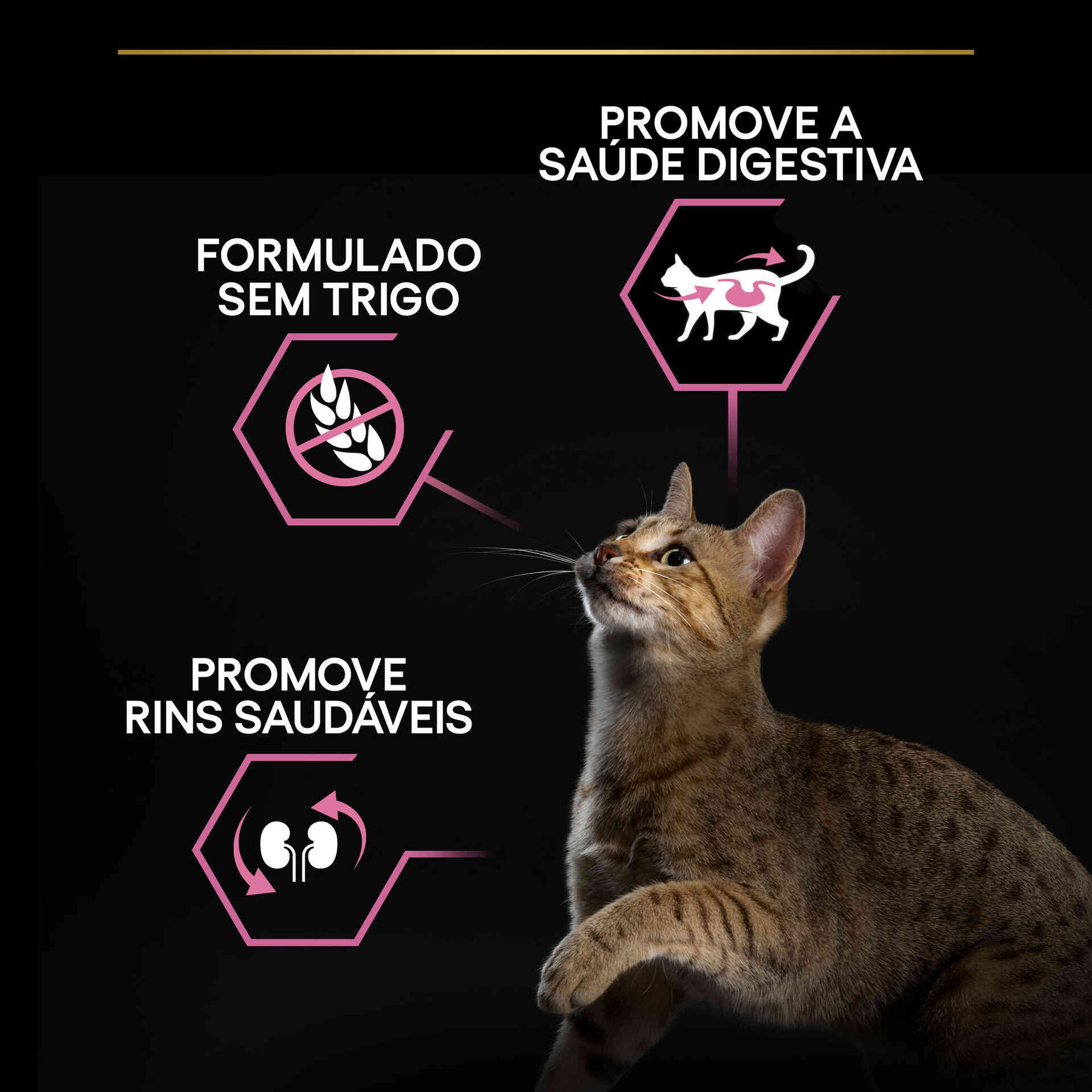 Ração para Gato Adulto Delicate Digestion Peru