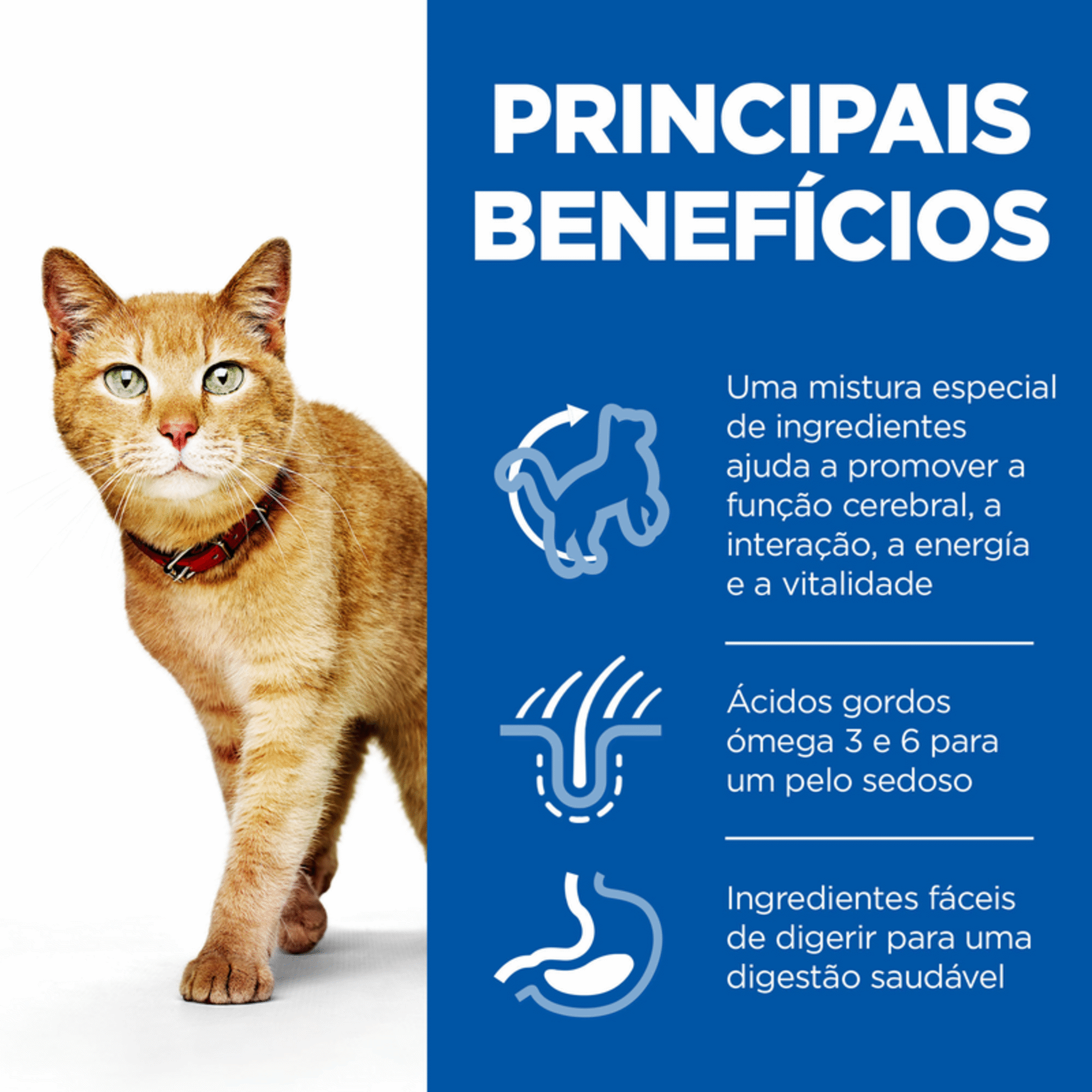 Ração para Gato Adulto Science Plan Vitality 7+ Frango