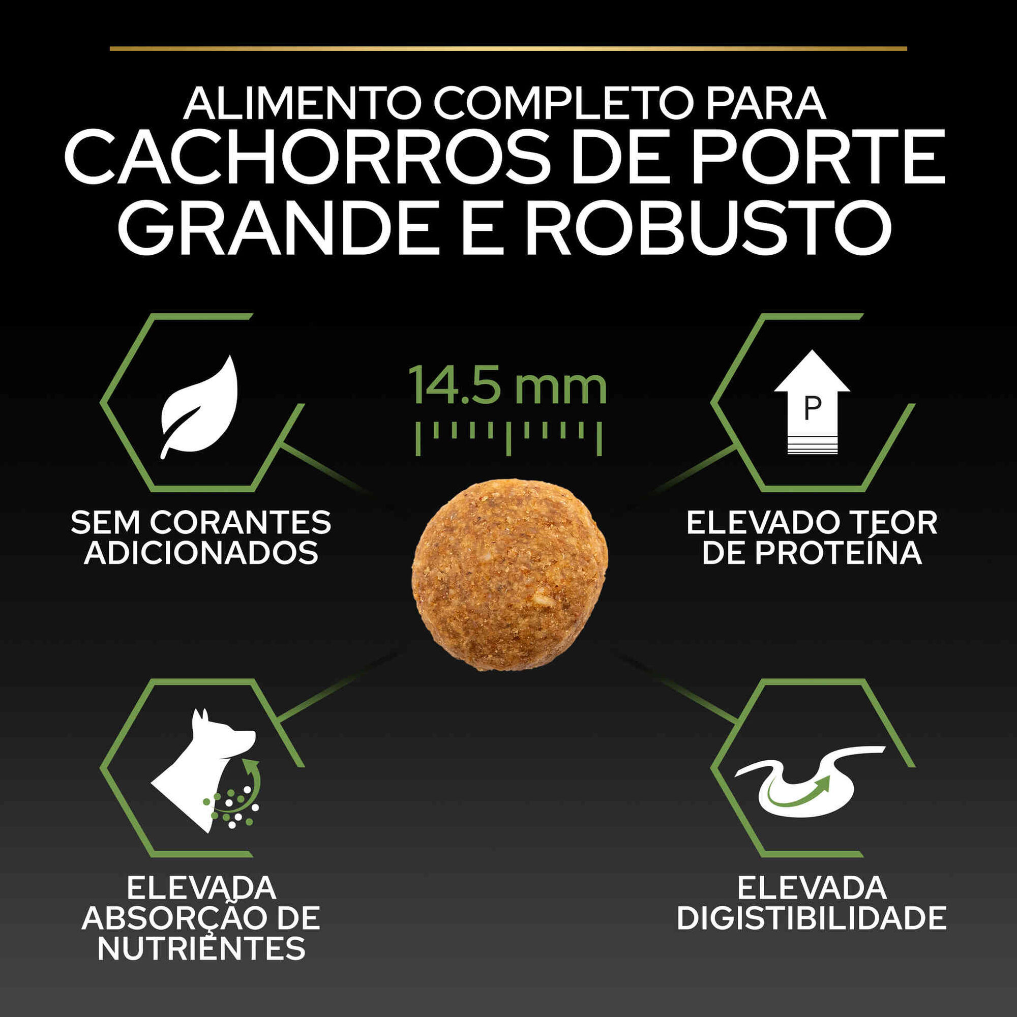 Ração para Cão Júnior Maxi Robusto Healthy Start