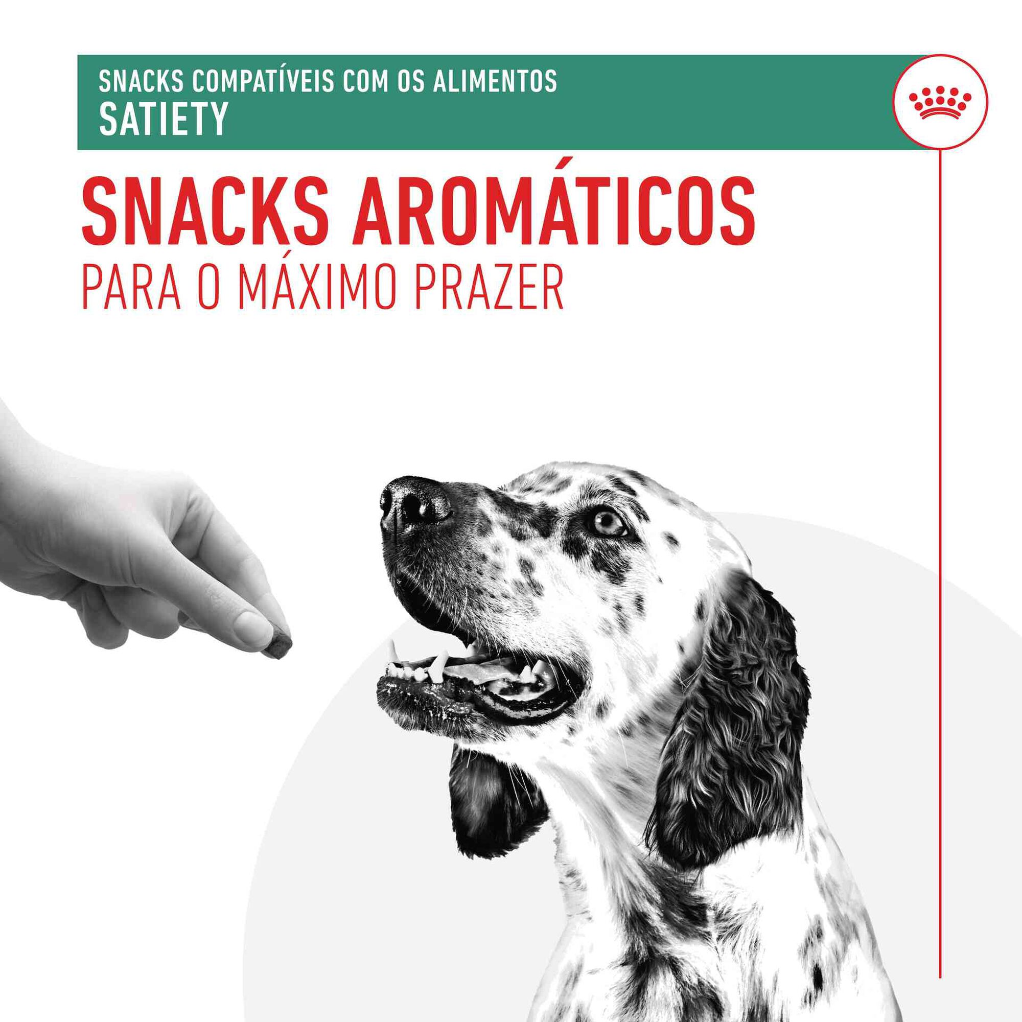 Snack para Cão Adulto Satiety Treats