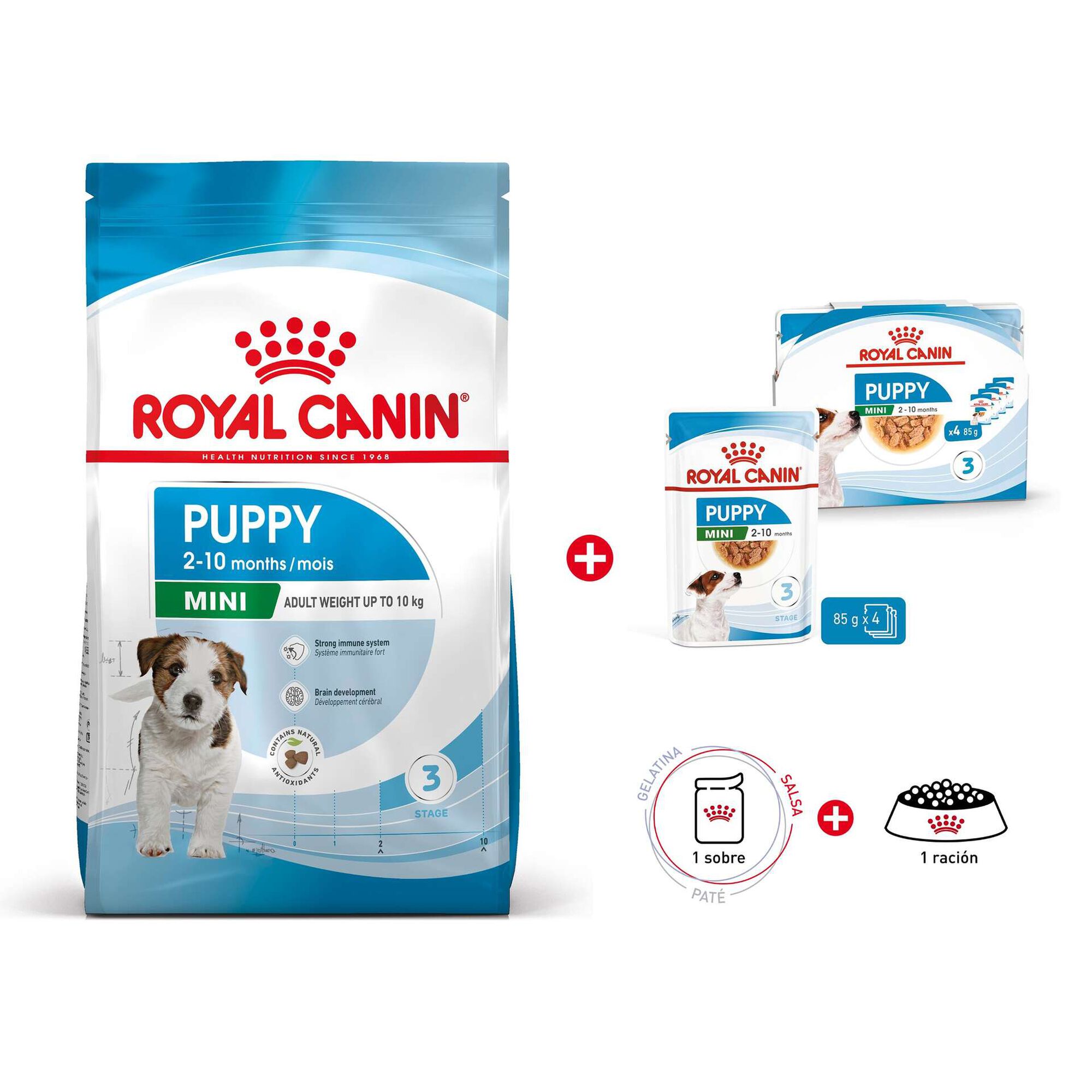 Kit de Alimentação para Cão Júnior