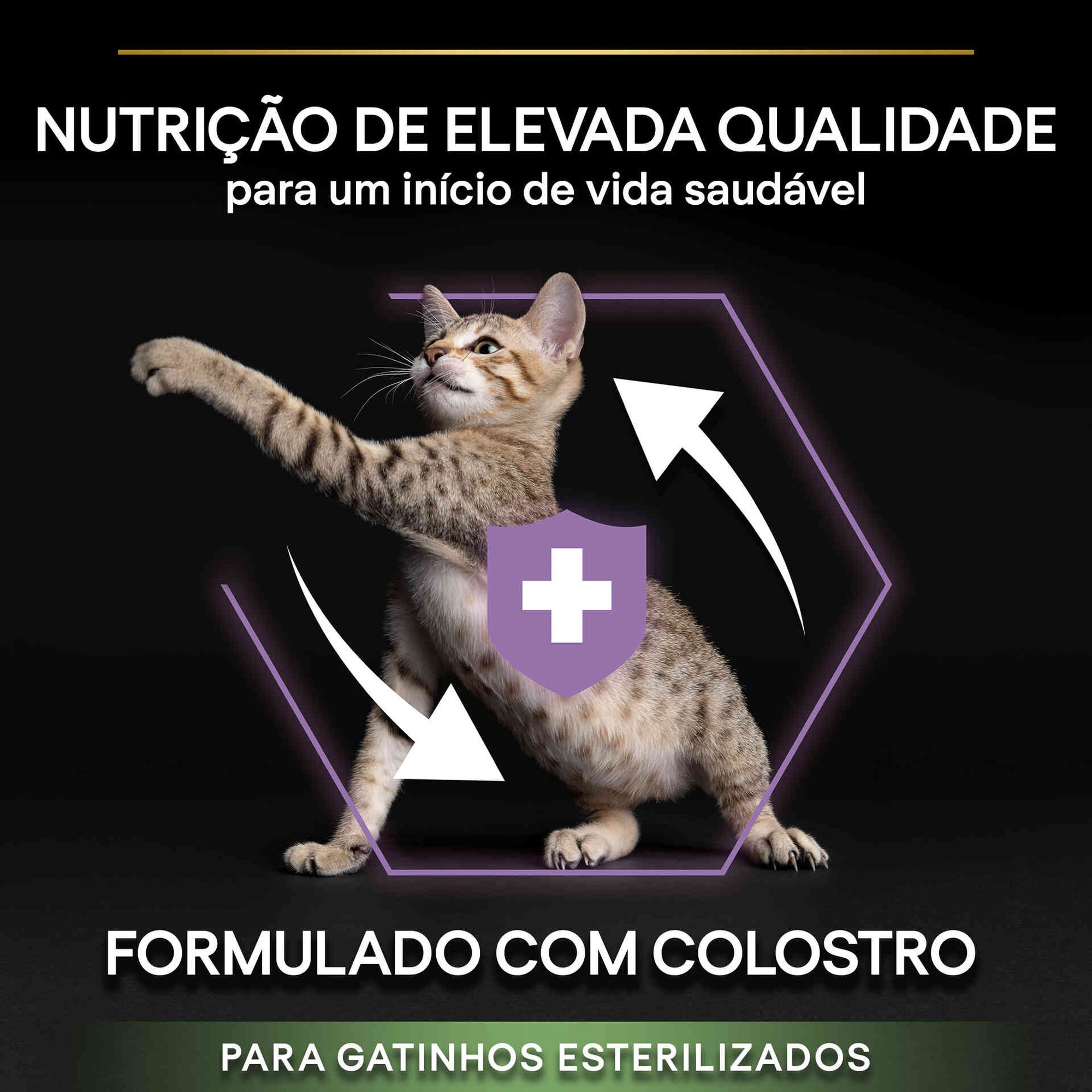 Ração para Gato Júnior Esterilizado Healthy Start Salmão