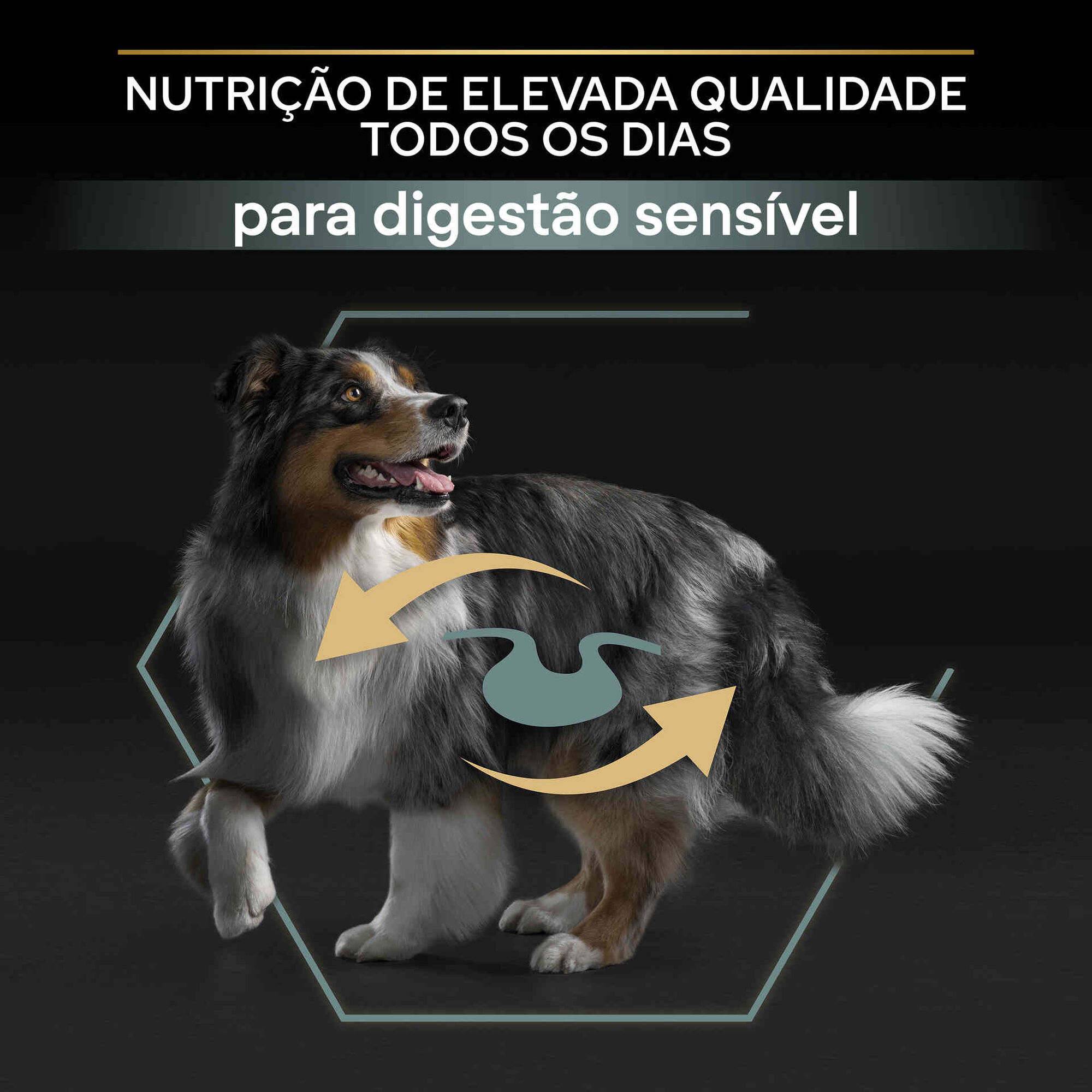 Ração para Cão Adulto Médio Sensitive Digestion Borrego