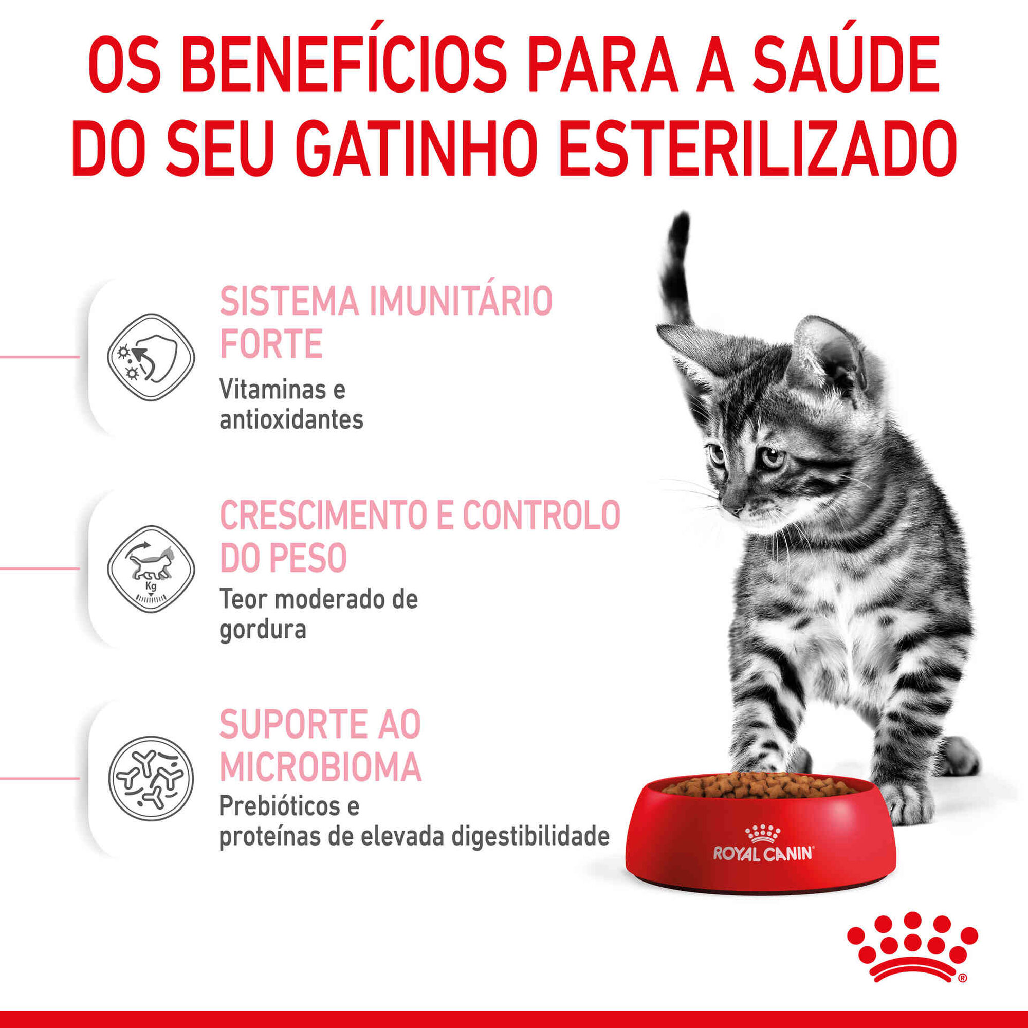 Ração para Gato Esterilizado Júnior