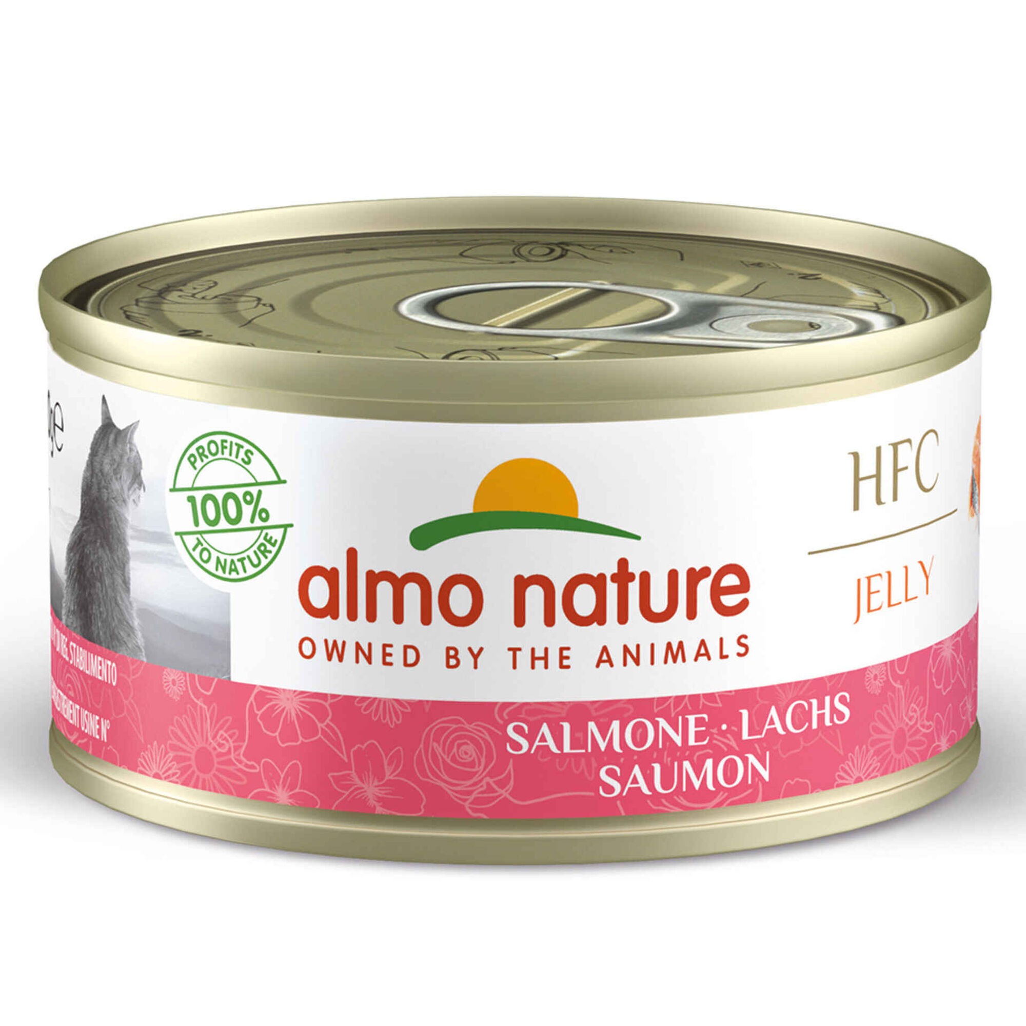 Comida Húmida para Gato Jelly Salmão