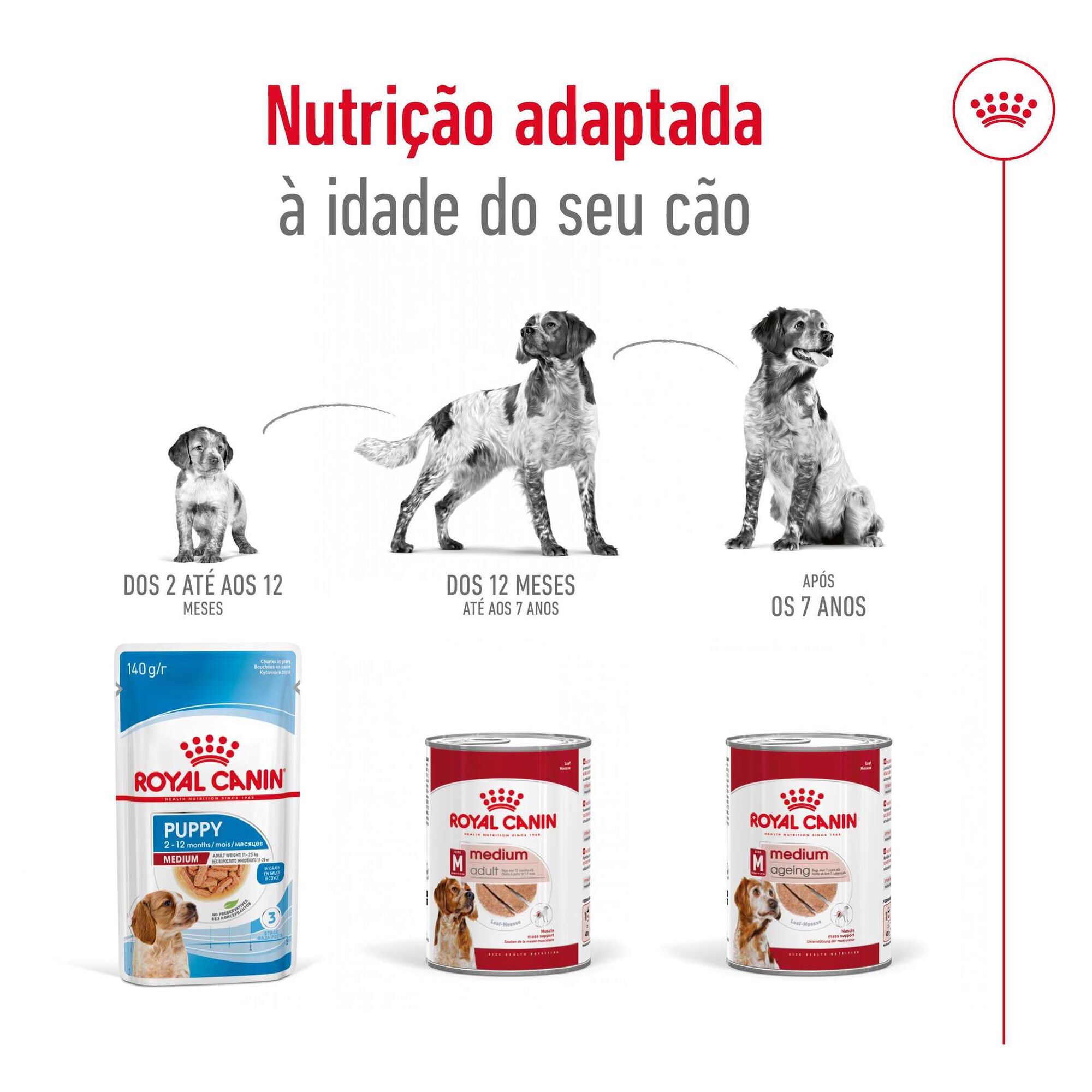 Comida Húmida para Cão Adulto Médio