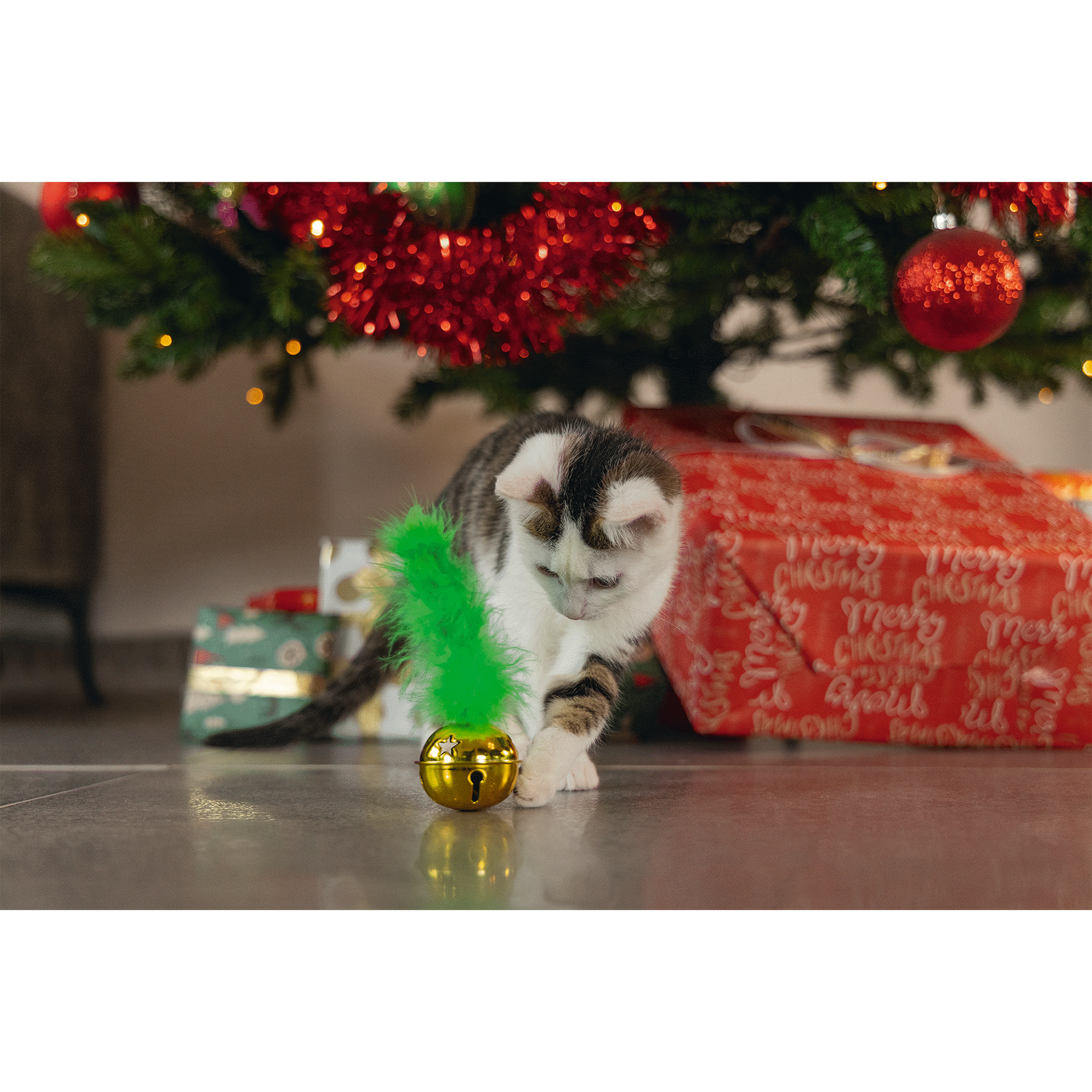 Brinquedo para Gato Guizo Natal com Pena Verde Beeztees