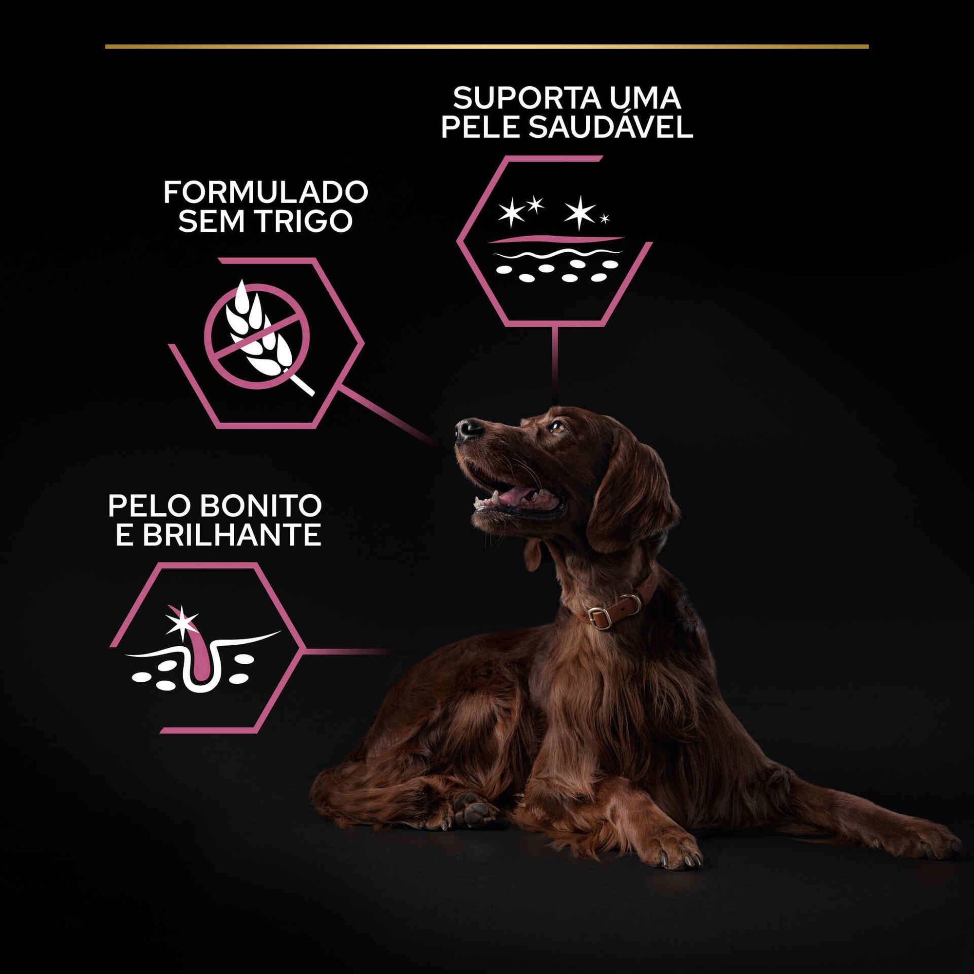 Ração para Cão Adulto Maxi Athletic Sensitive Skin