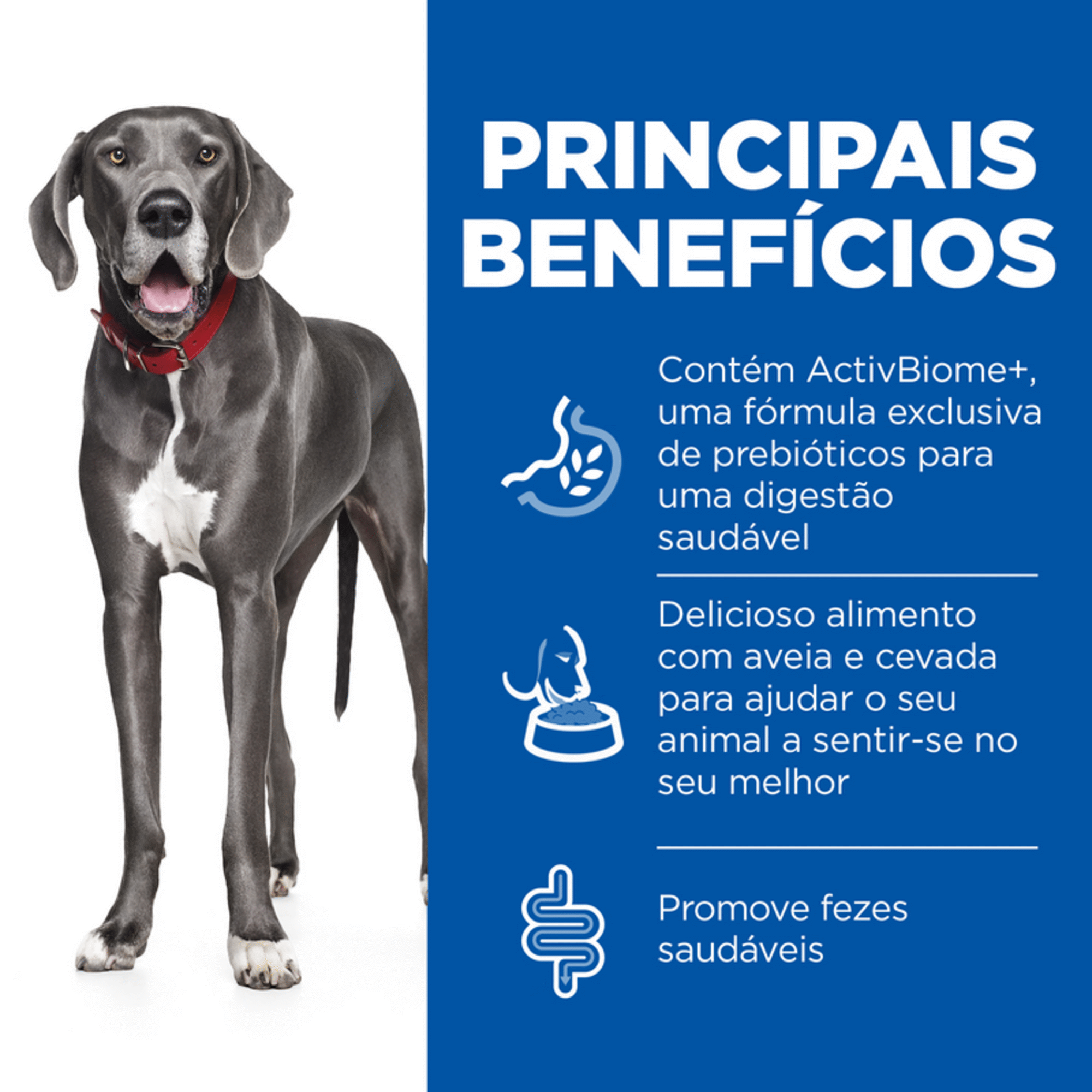 Ração para Cão Adulto Maxi Science Plan Perfect Digest Frango