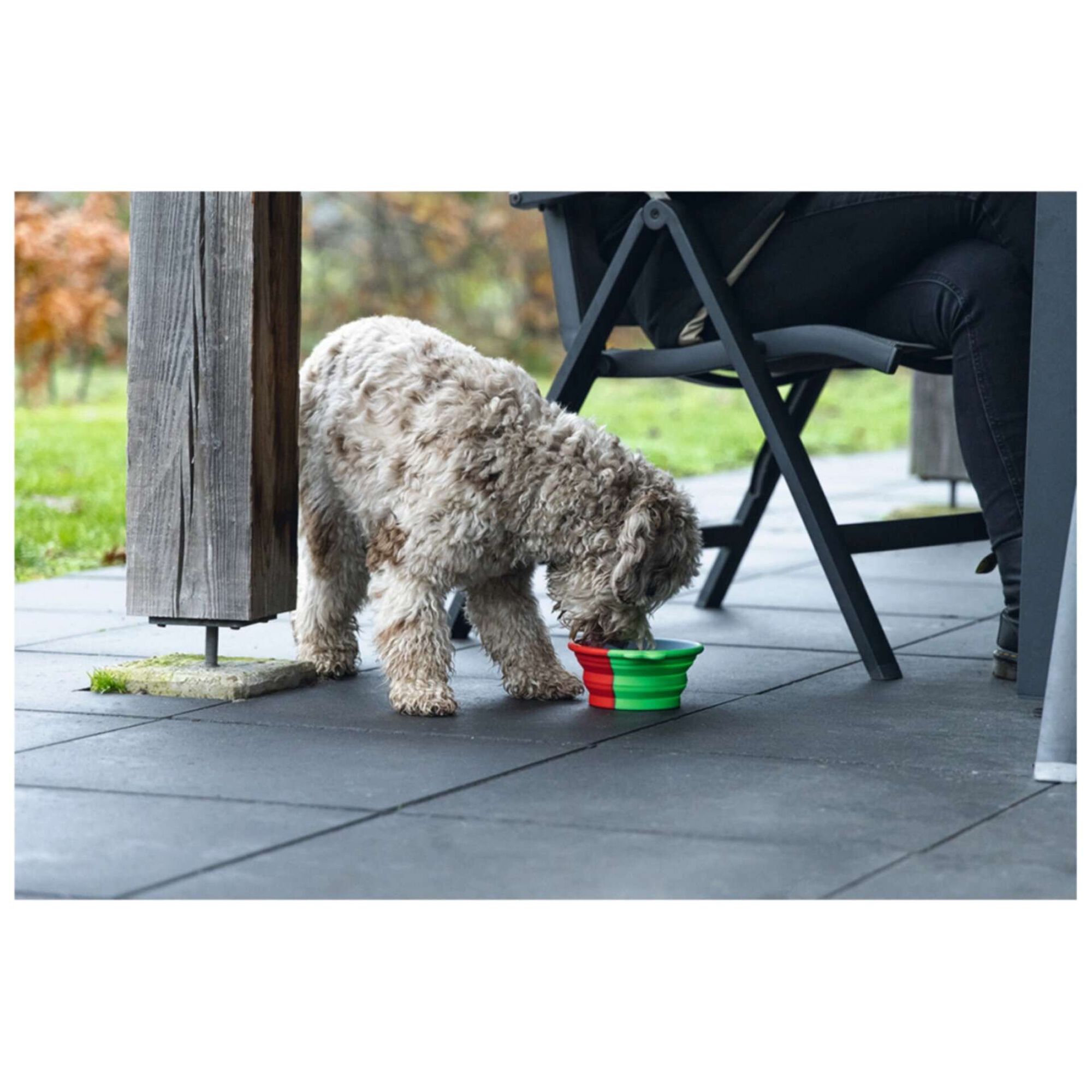 Comedouro de Viagem Vermelho