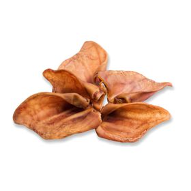 Snack para Cão Hipoalergénico Orelha Porco