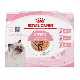 Comida Húmida para Gato Júnior