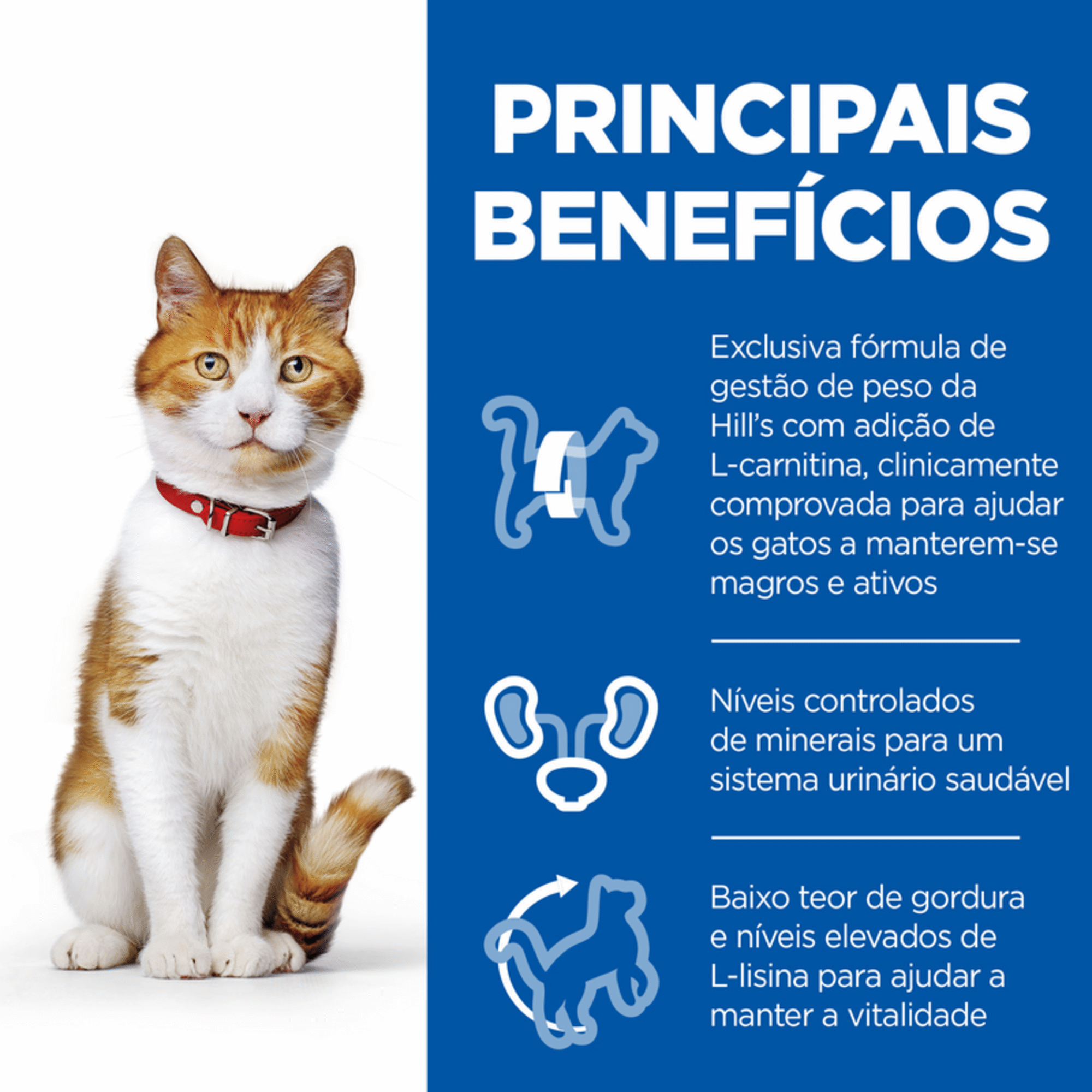 Ração para Gato Adulto Esterilizado Science Plan Frango