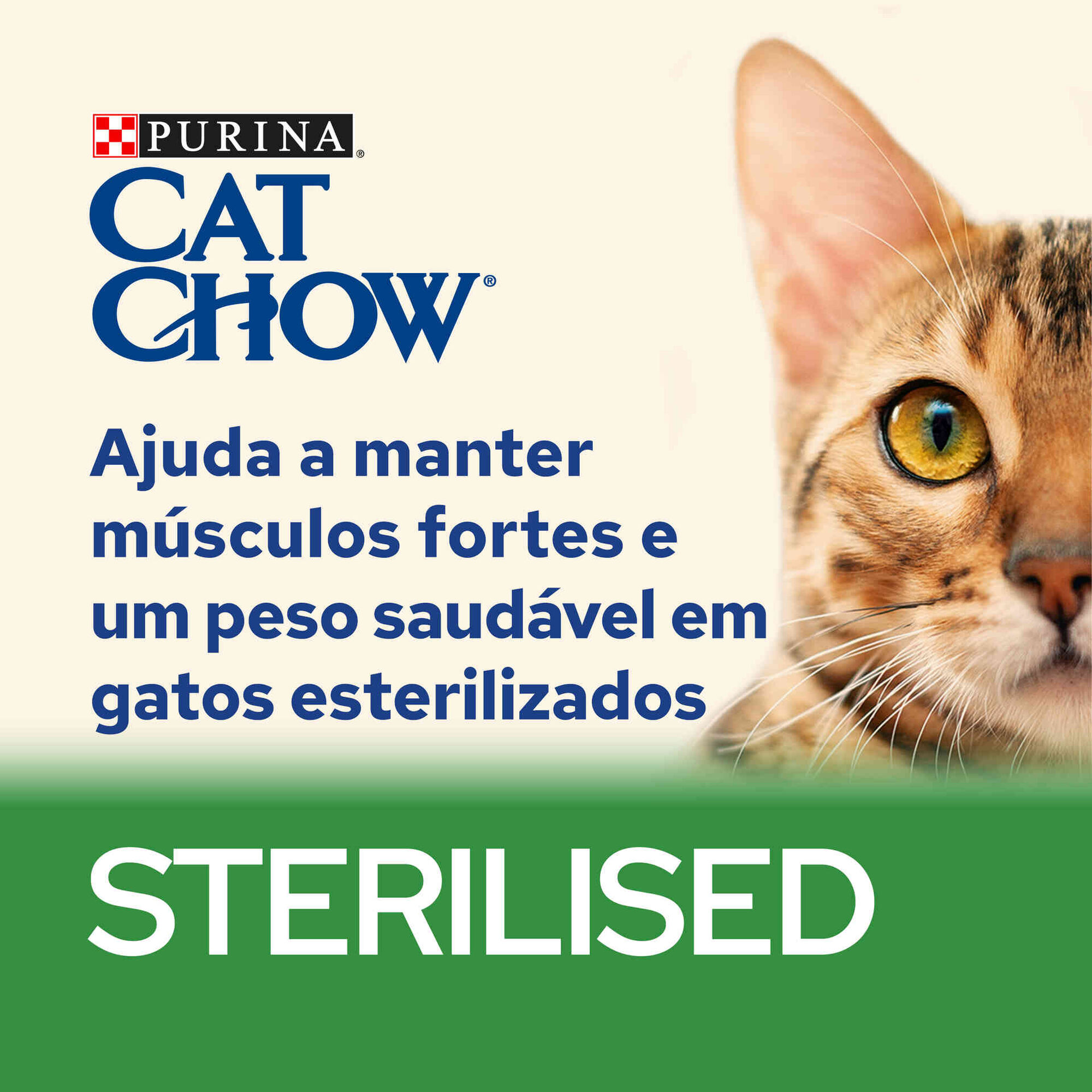 Ração para Gato Adulto Esterilizado