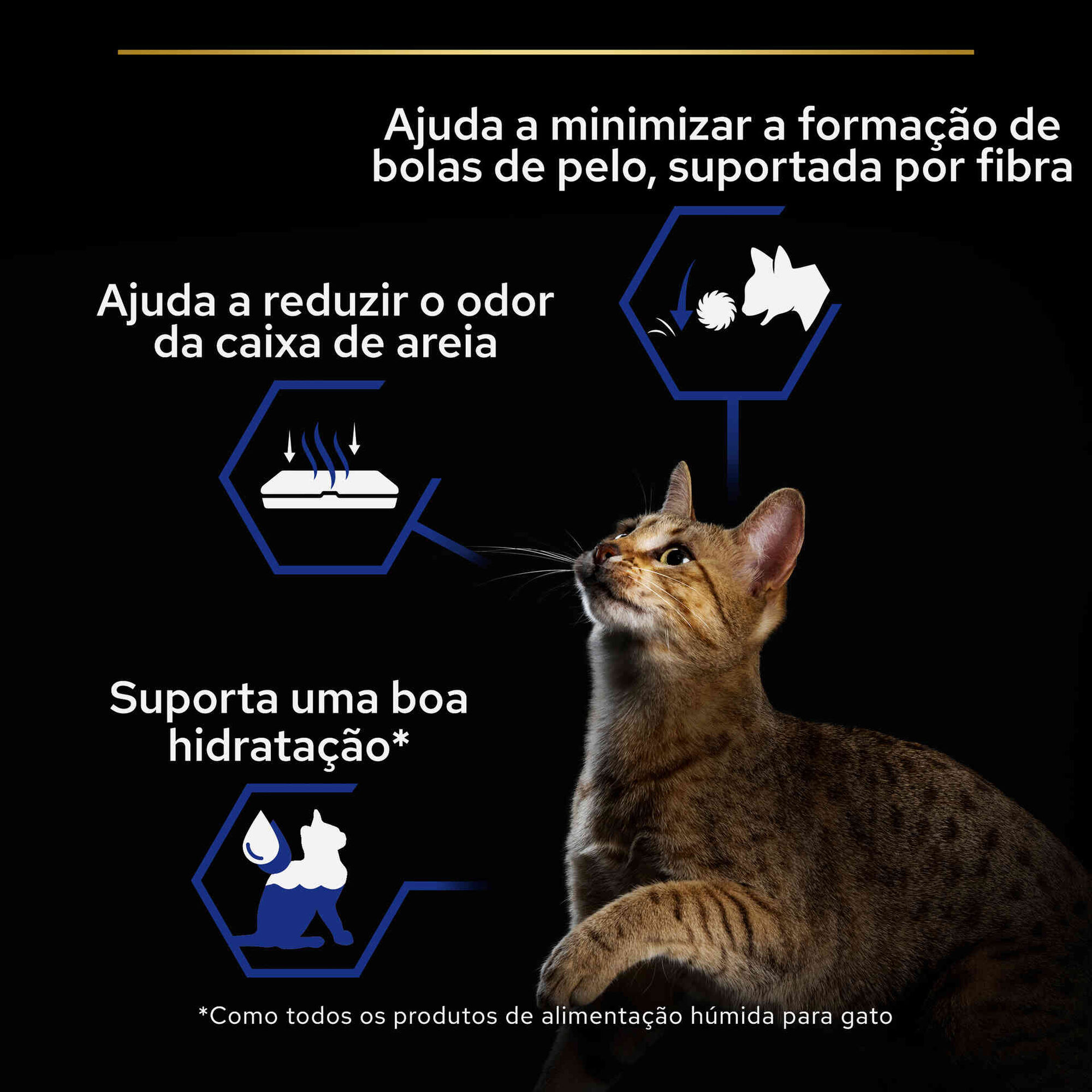 Comida Húmida para Gato Adulto Esterilizado Indoor Salmão
