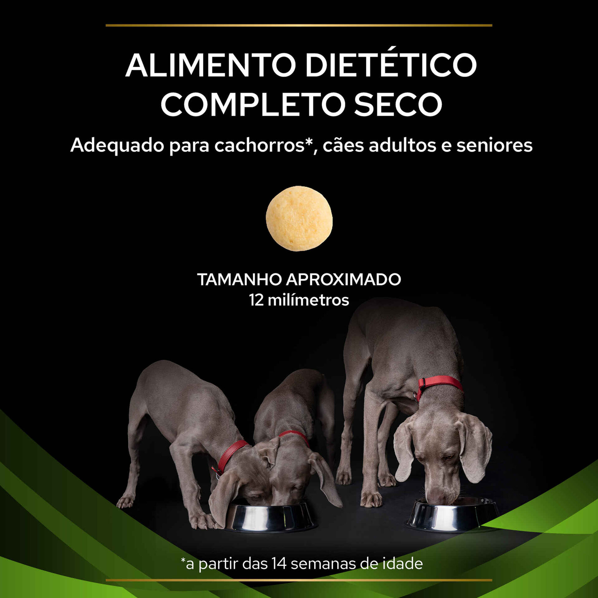Ração para Cão Adulto Hypoalergenic