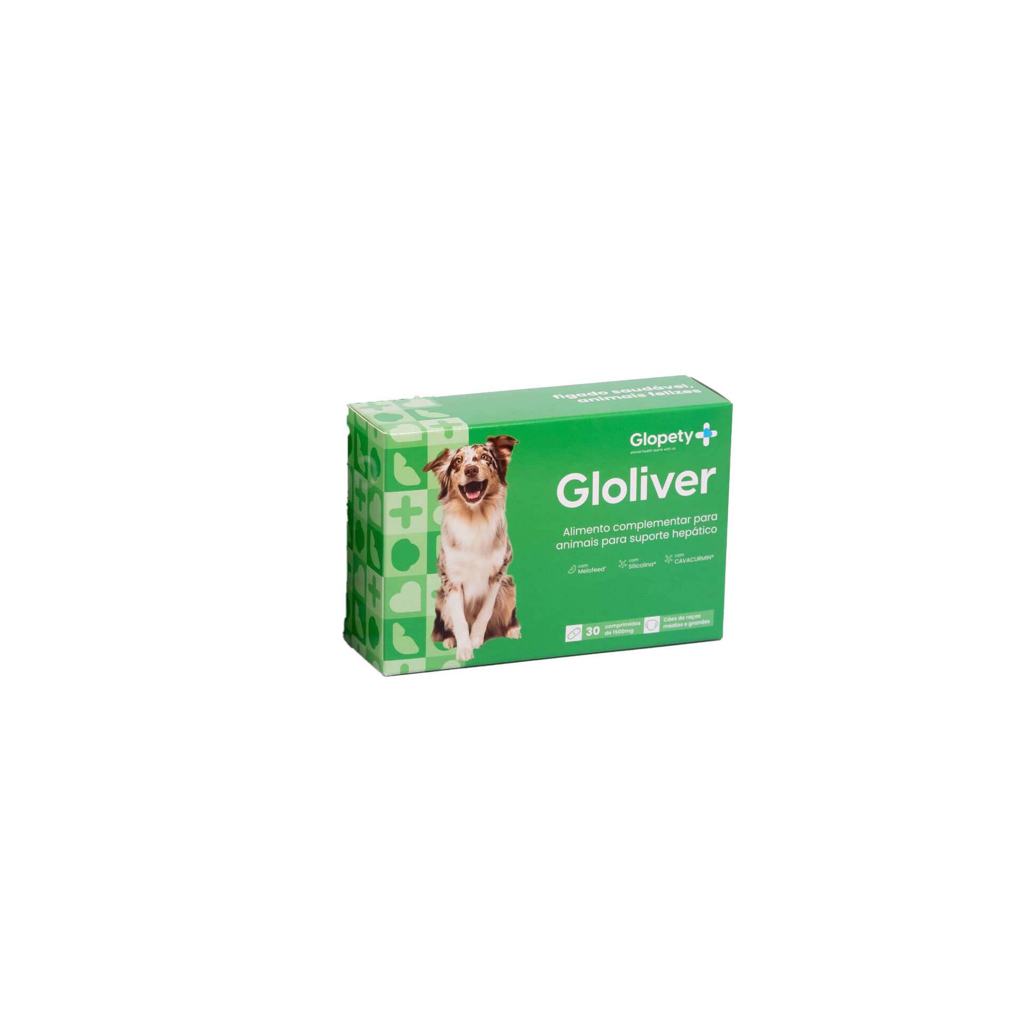 Gloliver para Cão