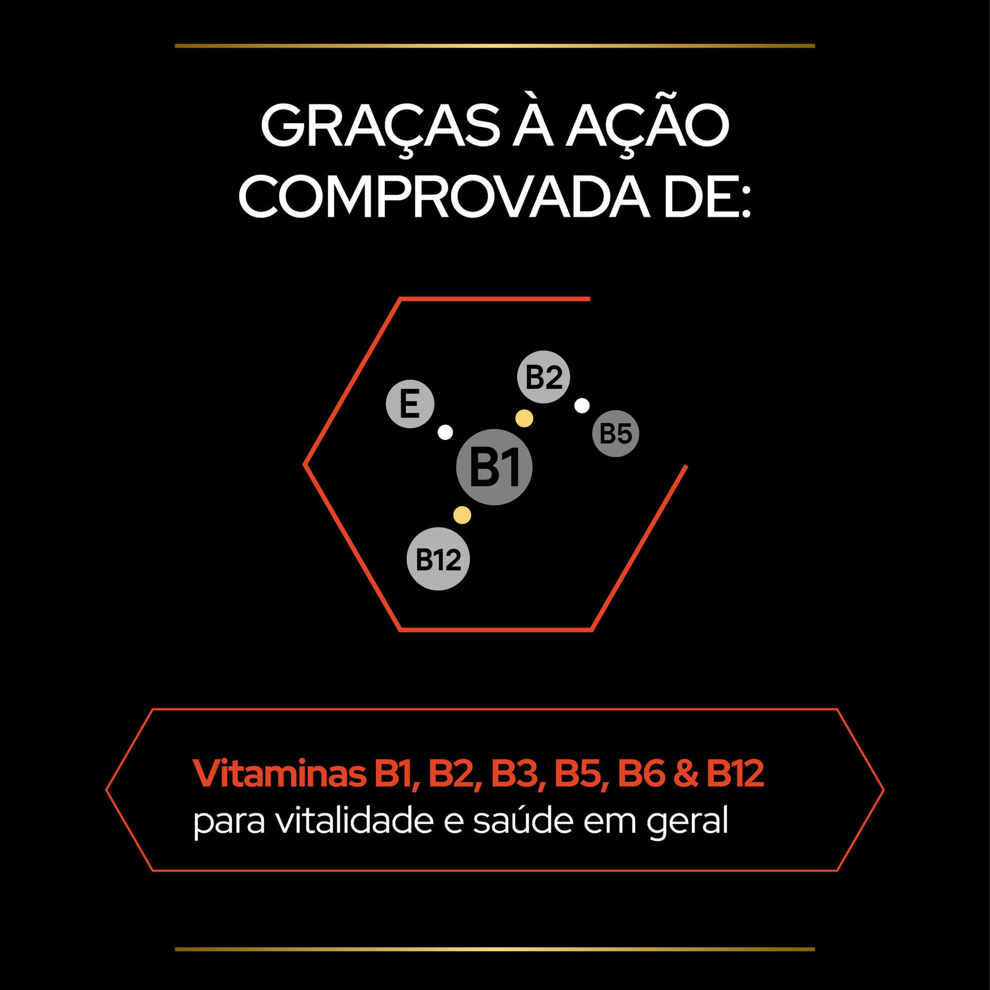 Suplemento para Cão Multivitaminas