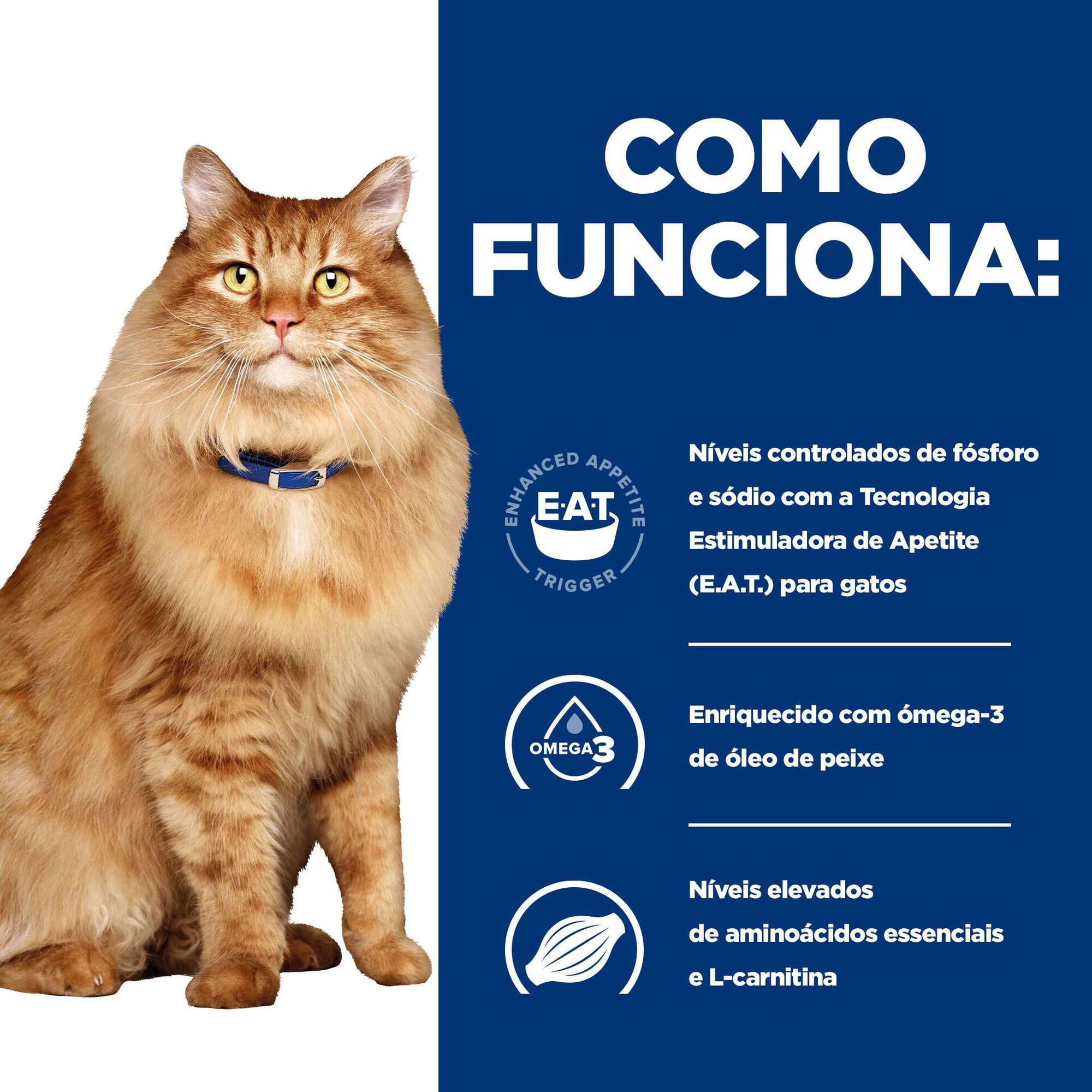 Comida Húmida para Gato Prescription Diet Kidney + Mobility