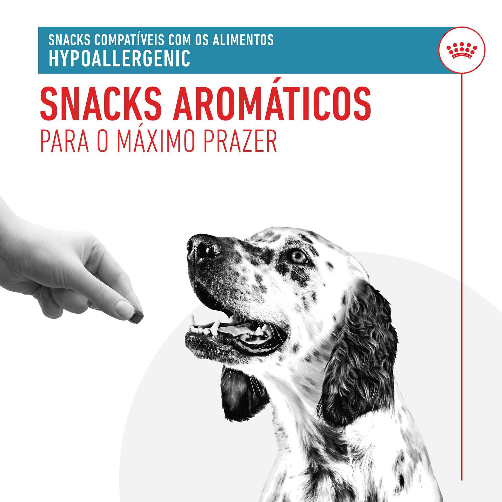 Snack para Cão Adulto Hypoallergenic Treats