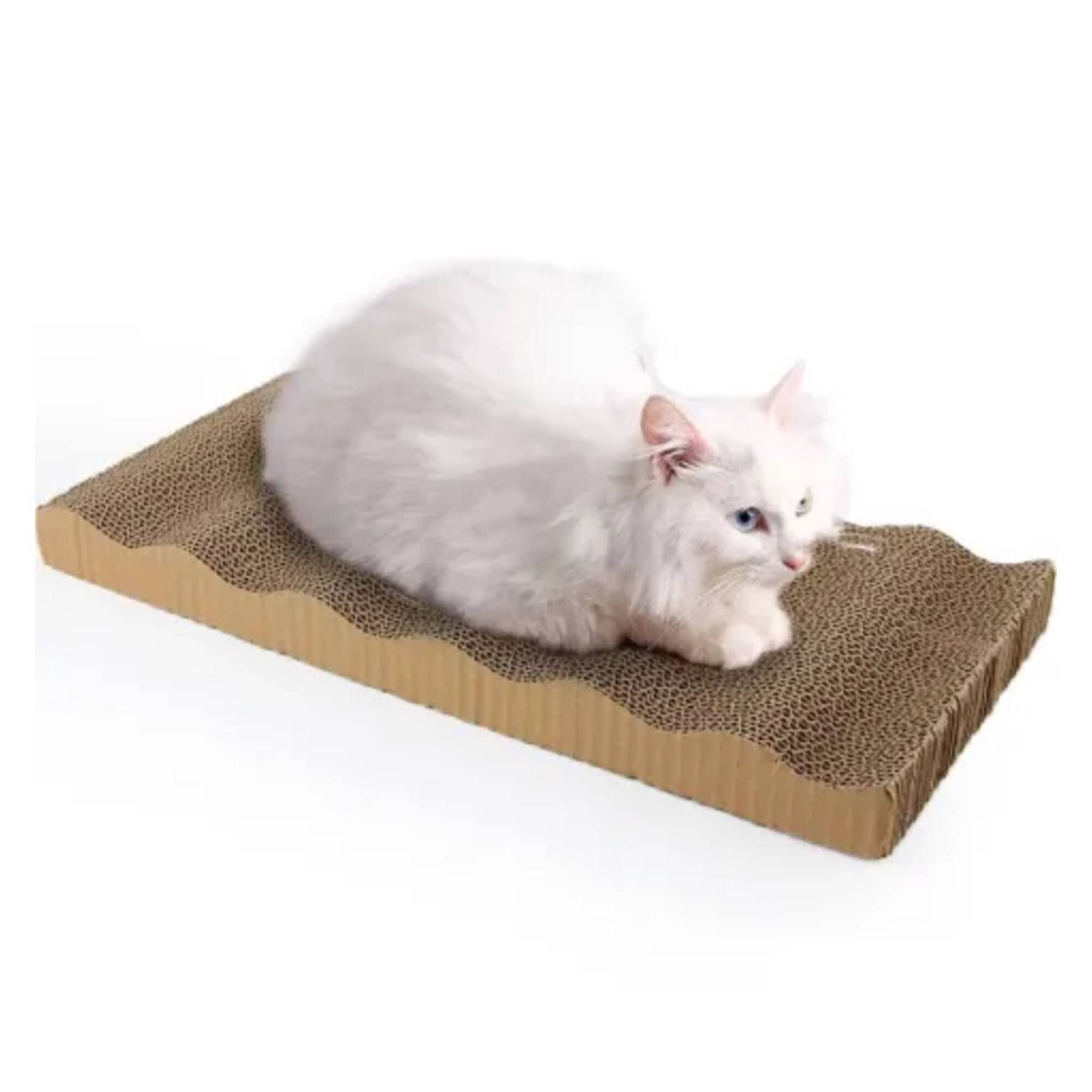 Afiador para Gato Cartão Duplo