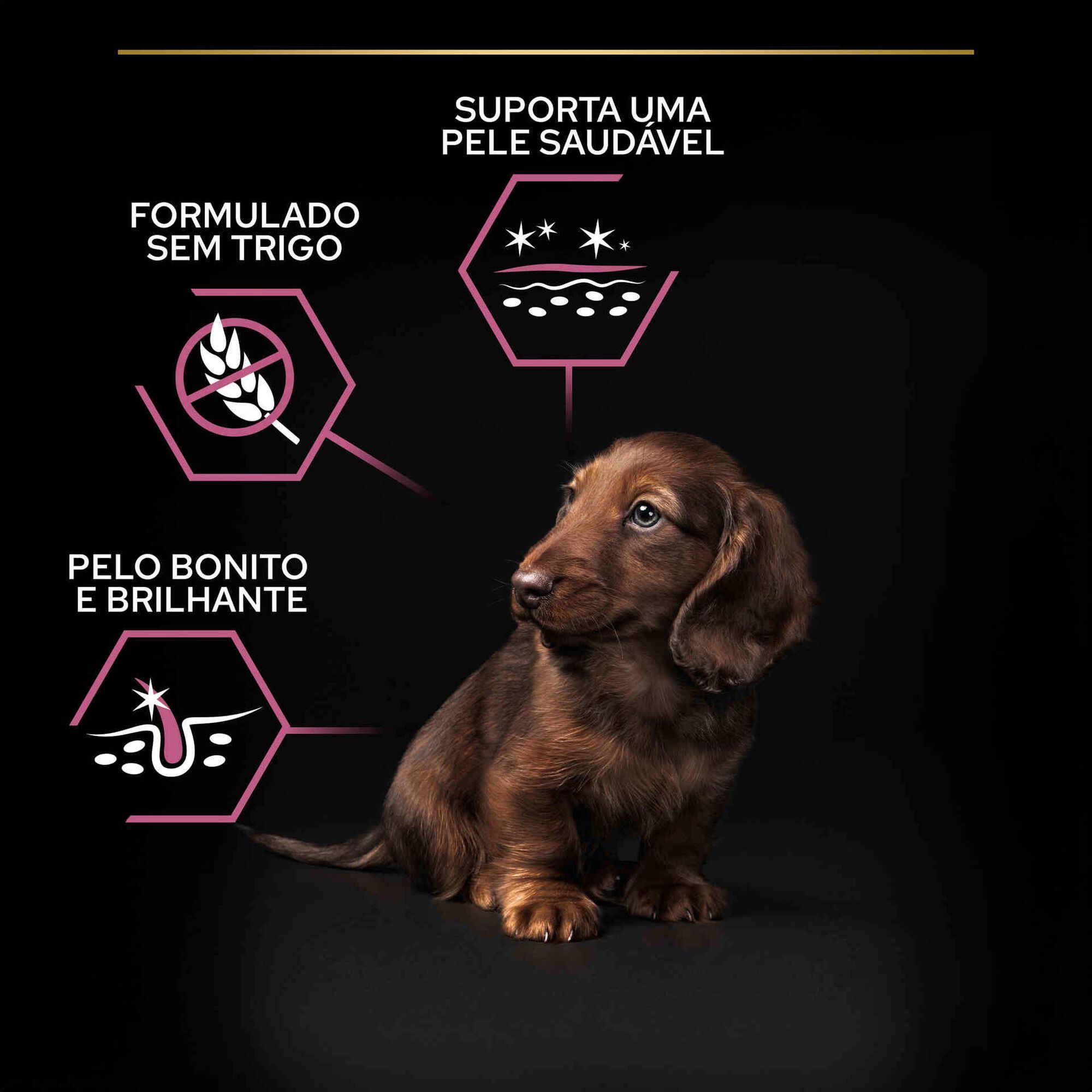 Ração para Cão Júnior Mini Sensitive Skin Salmão