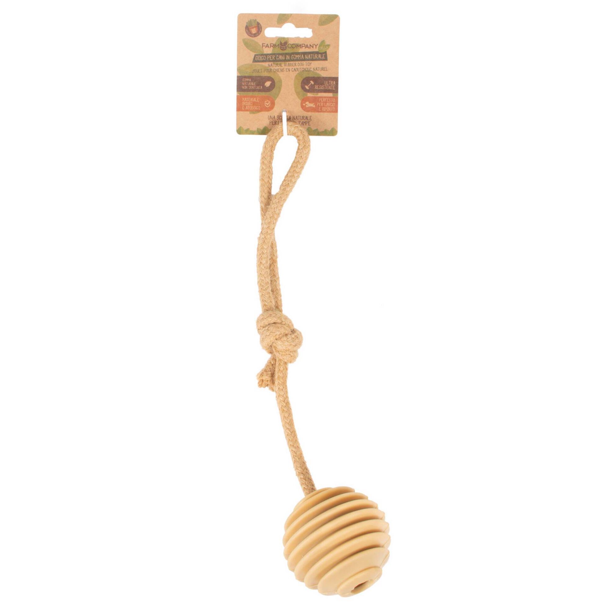 Brinquedo para Cão Bola e Sisal Natural 24 cm
