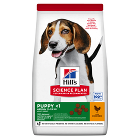 Ração para Cão Júnior Médio Science Plan Frango